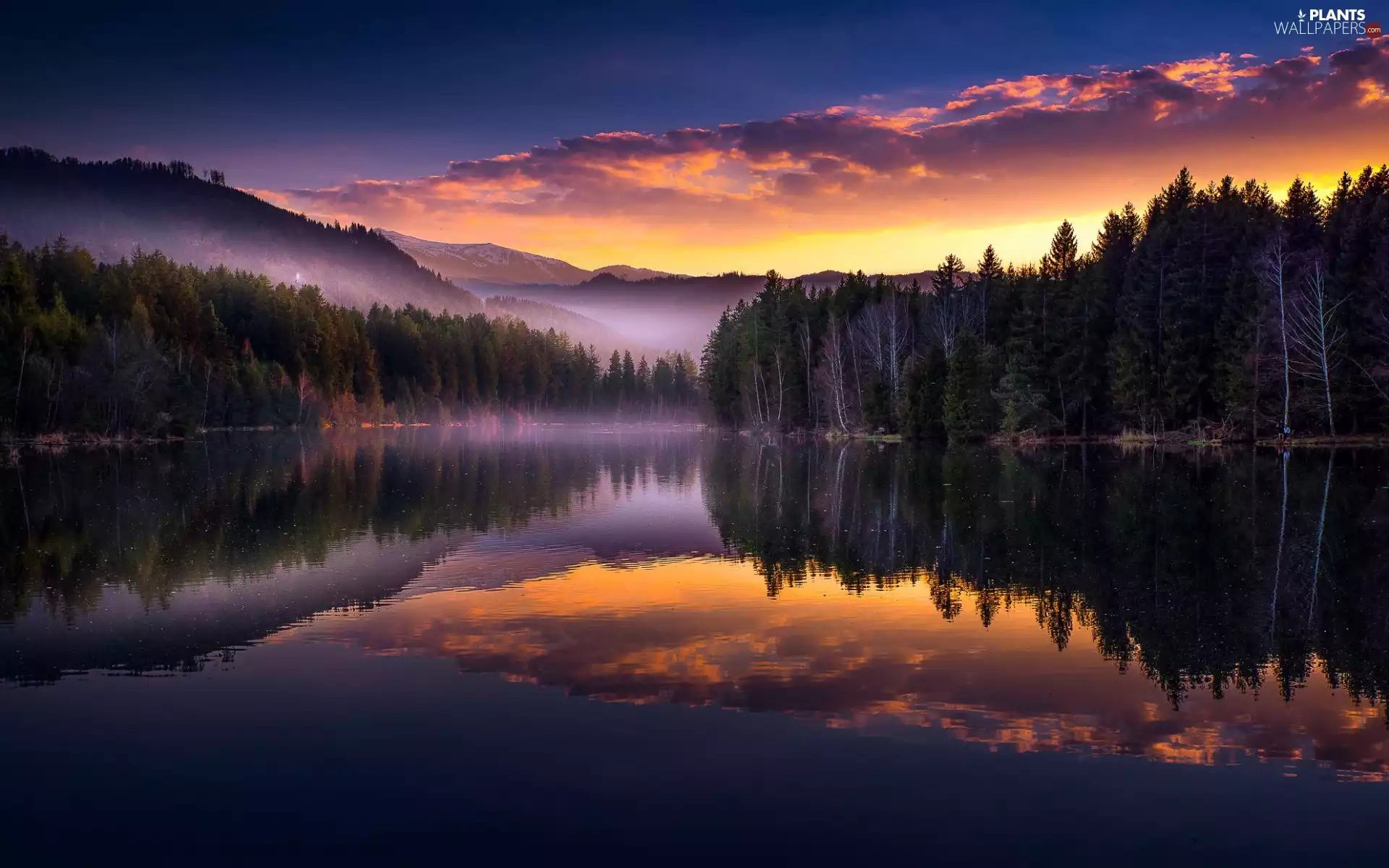 trees, Mountains, lake, Fog, Great Sunsets, viewes, reflection