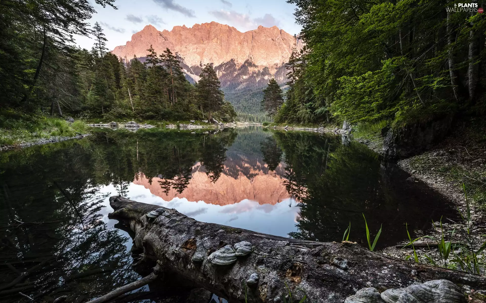 green ones, lake, viewes, forest, Mountains, trees, reflection