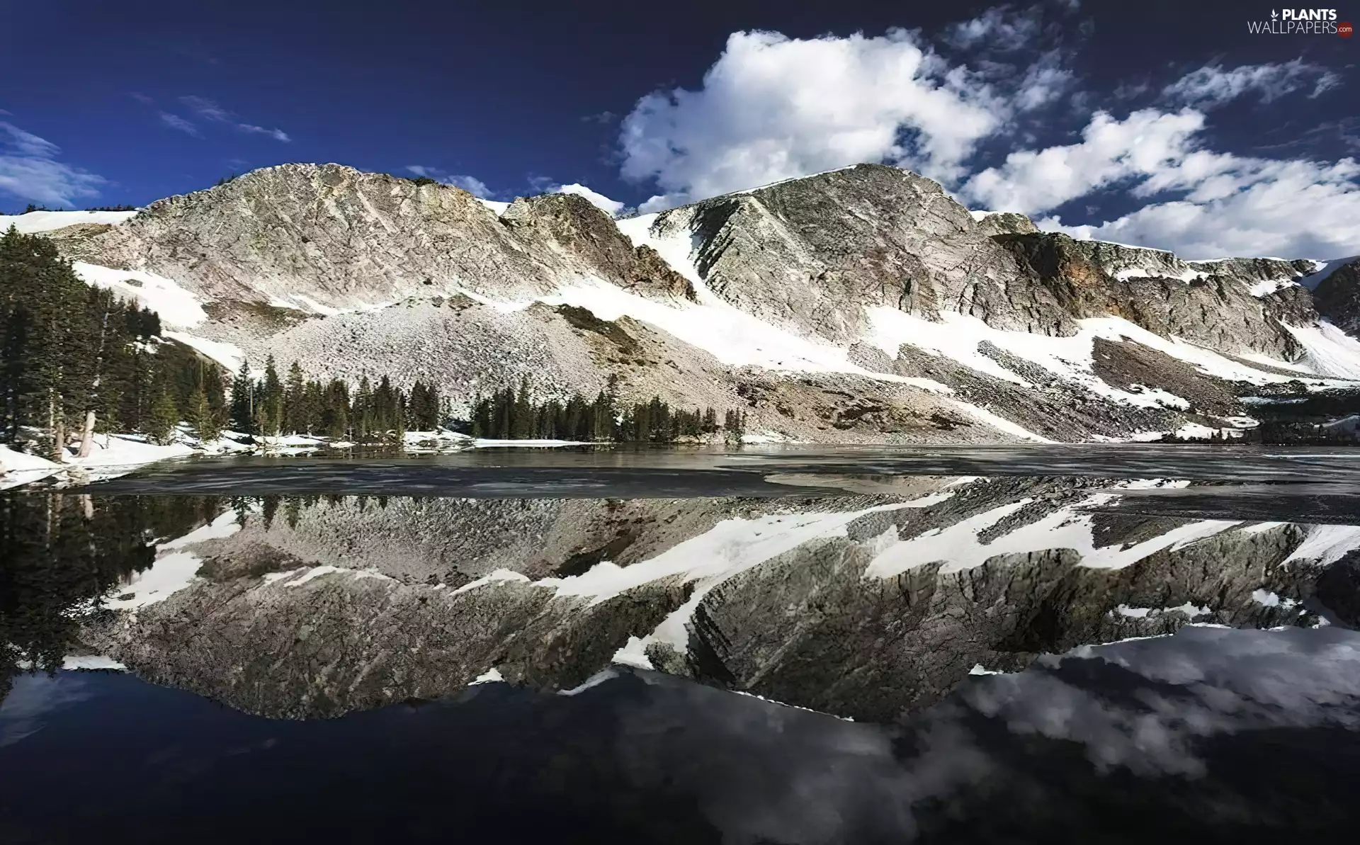 Mountains, reflection, lake, Spruces, Sky