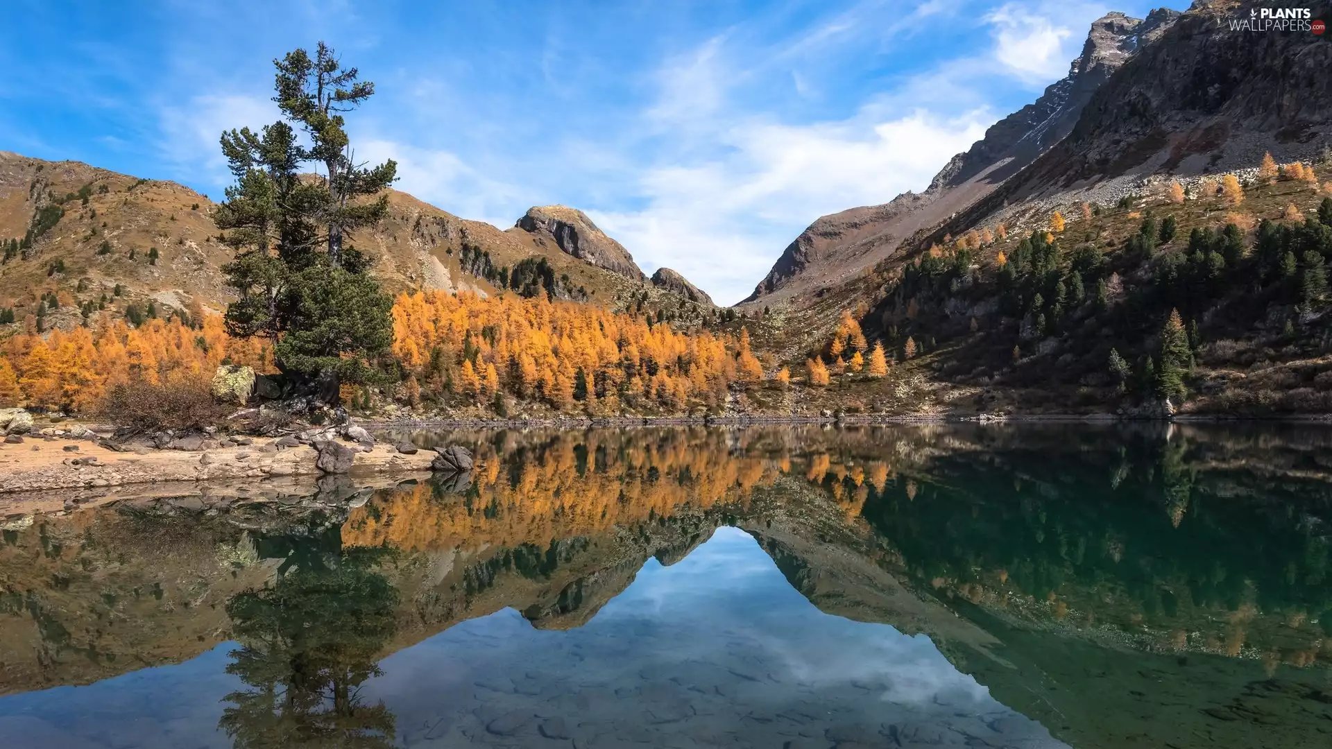trees, Mountains, Stones, reflection, viewes, lake