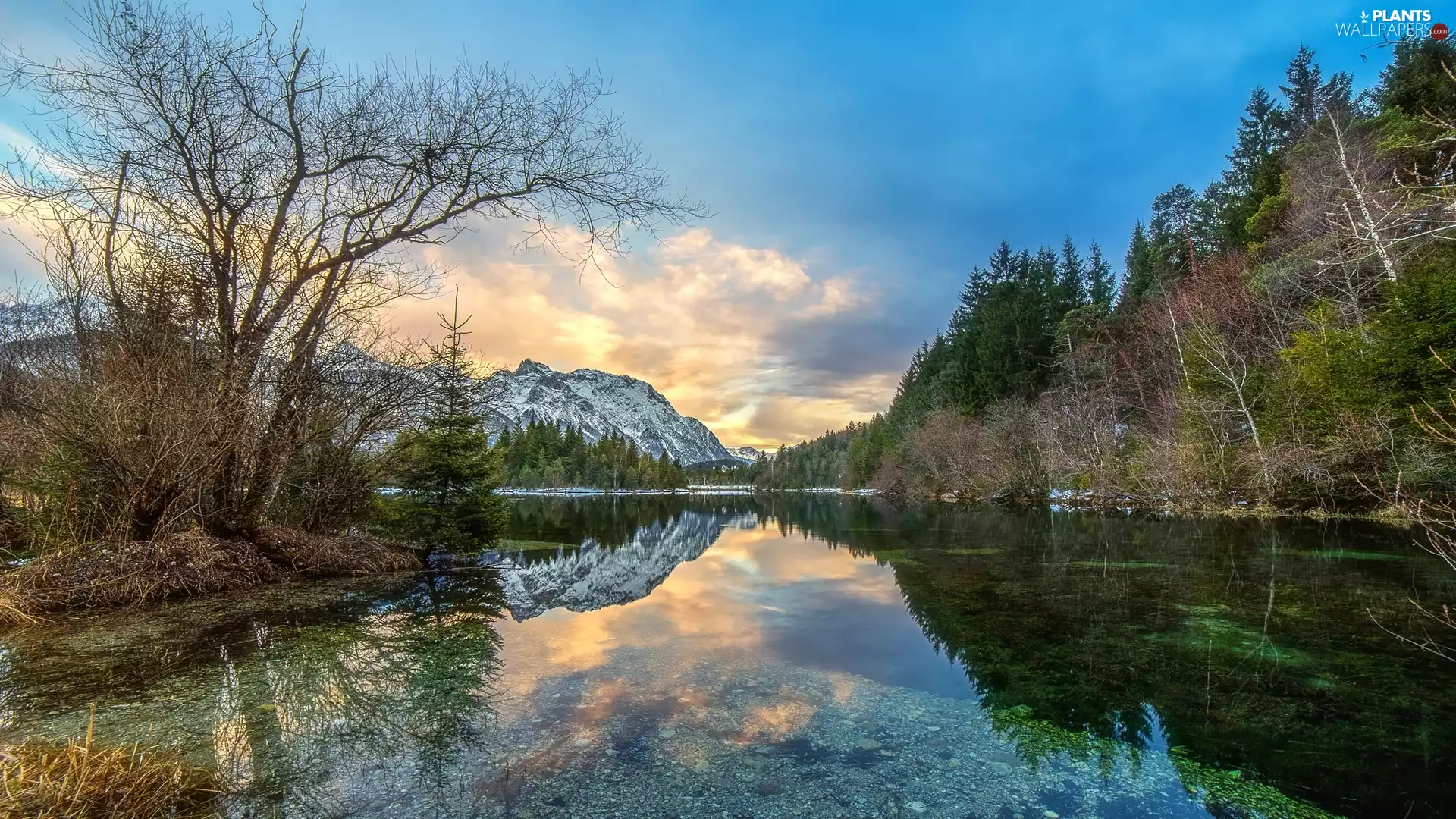 trees, Mountains, Sunrise, reflection, viewes, lake