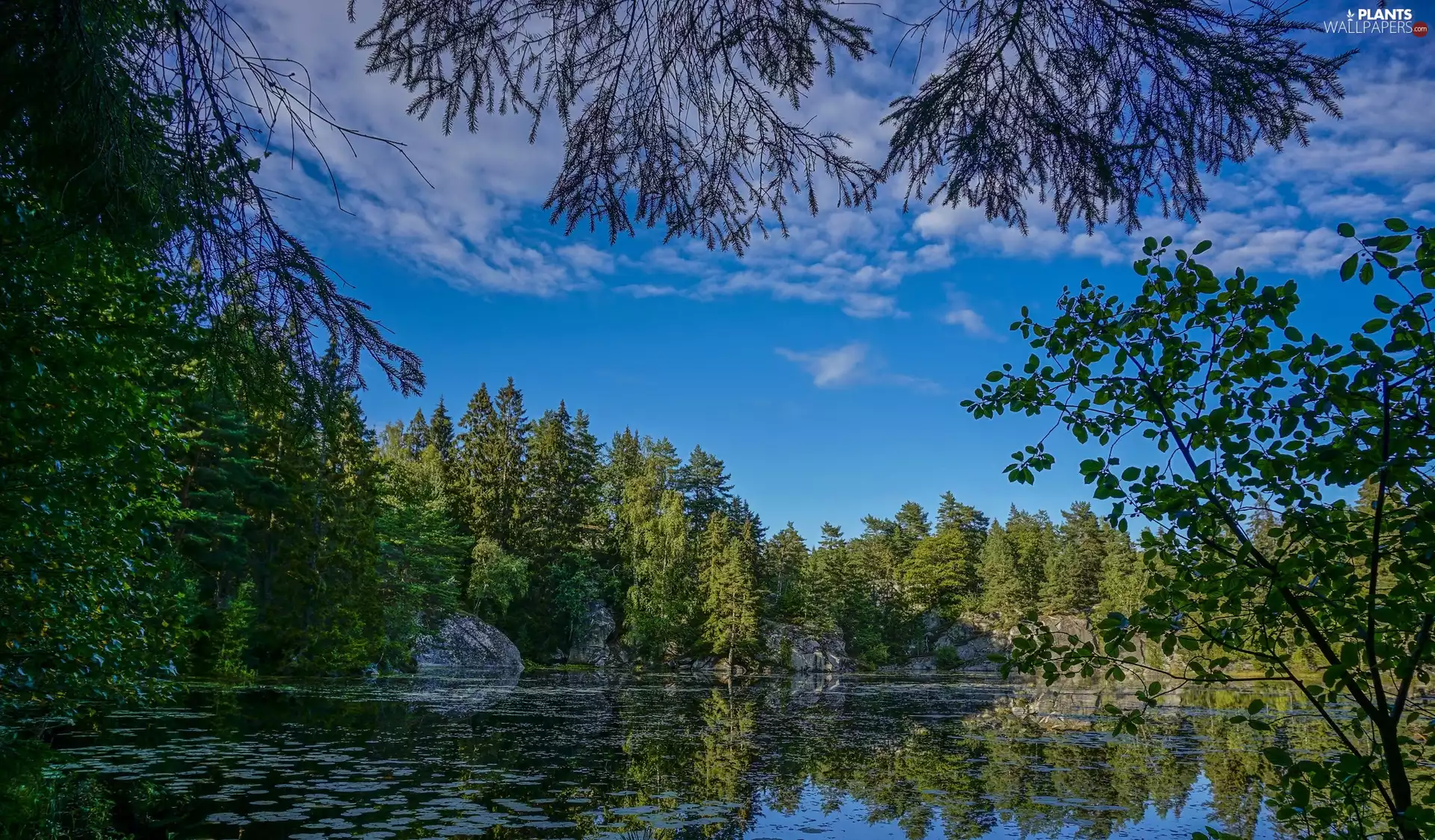 rocks, summer, viewes, reflection, trees, lake