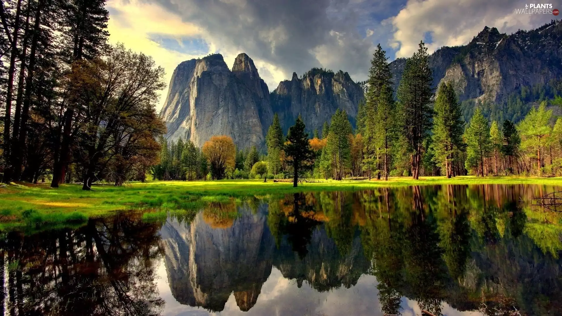 trees, lake, Mountains, reflection, viewes, green ones