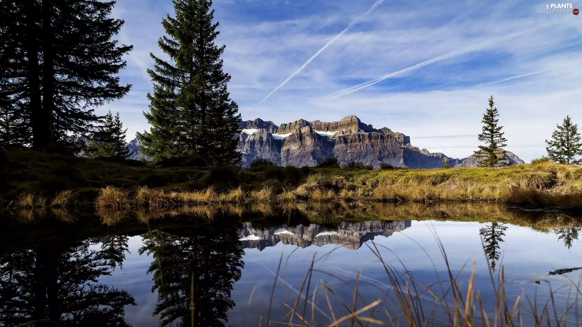 viewes, reflection, Mountains, trees, River