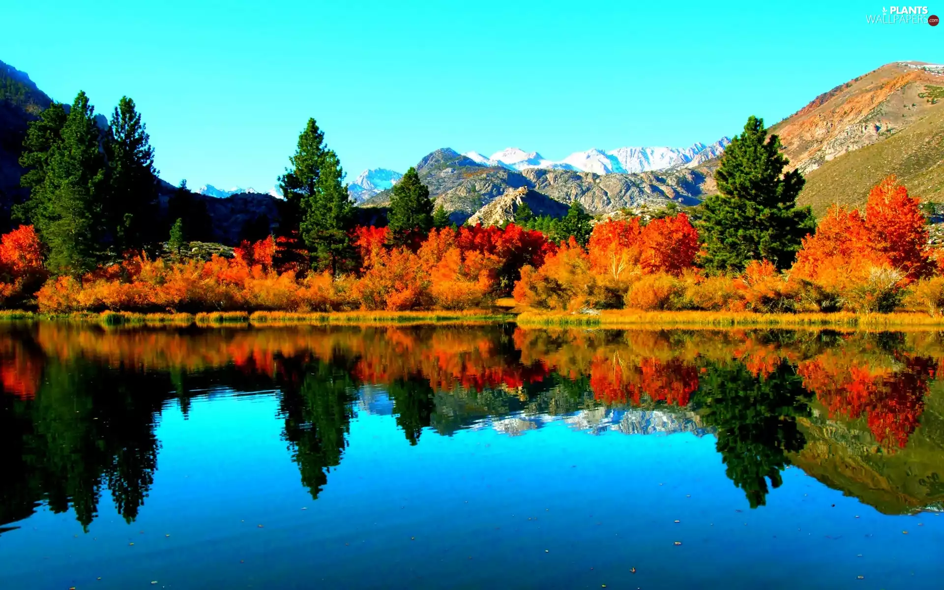 lake, autumn, viewes, reflection, trees, Mountains