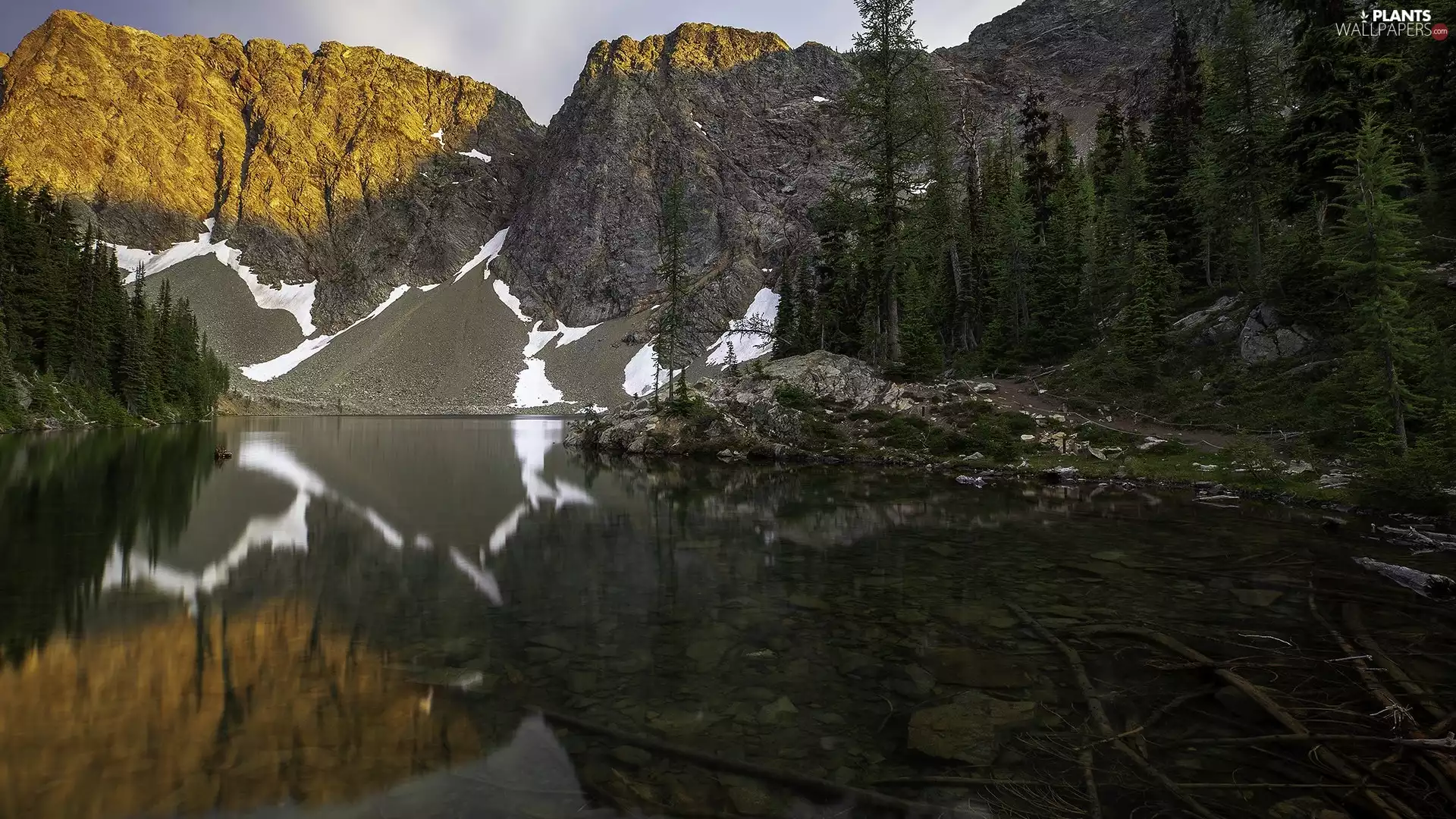 lake, illuminated, viewes, reflection, trees, Mountains