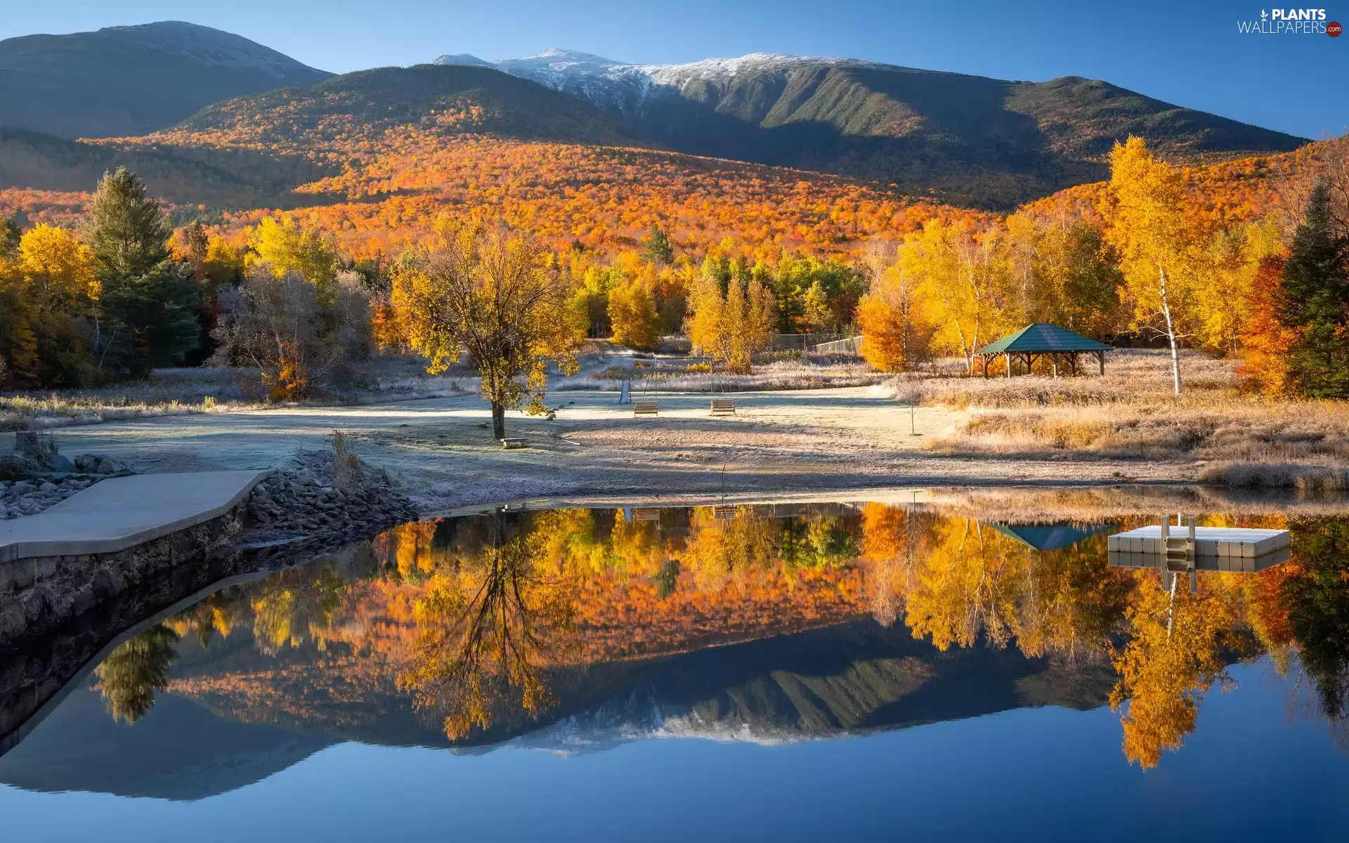 viewes, forest, Pond - car, trees, Mountains, autumn, reflection