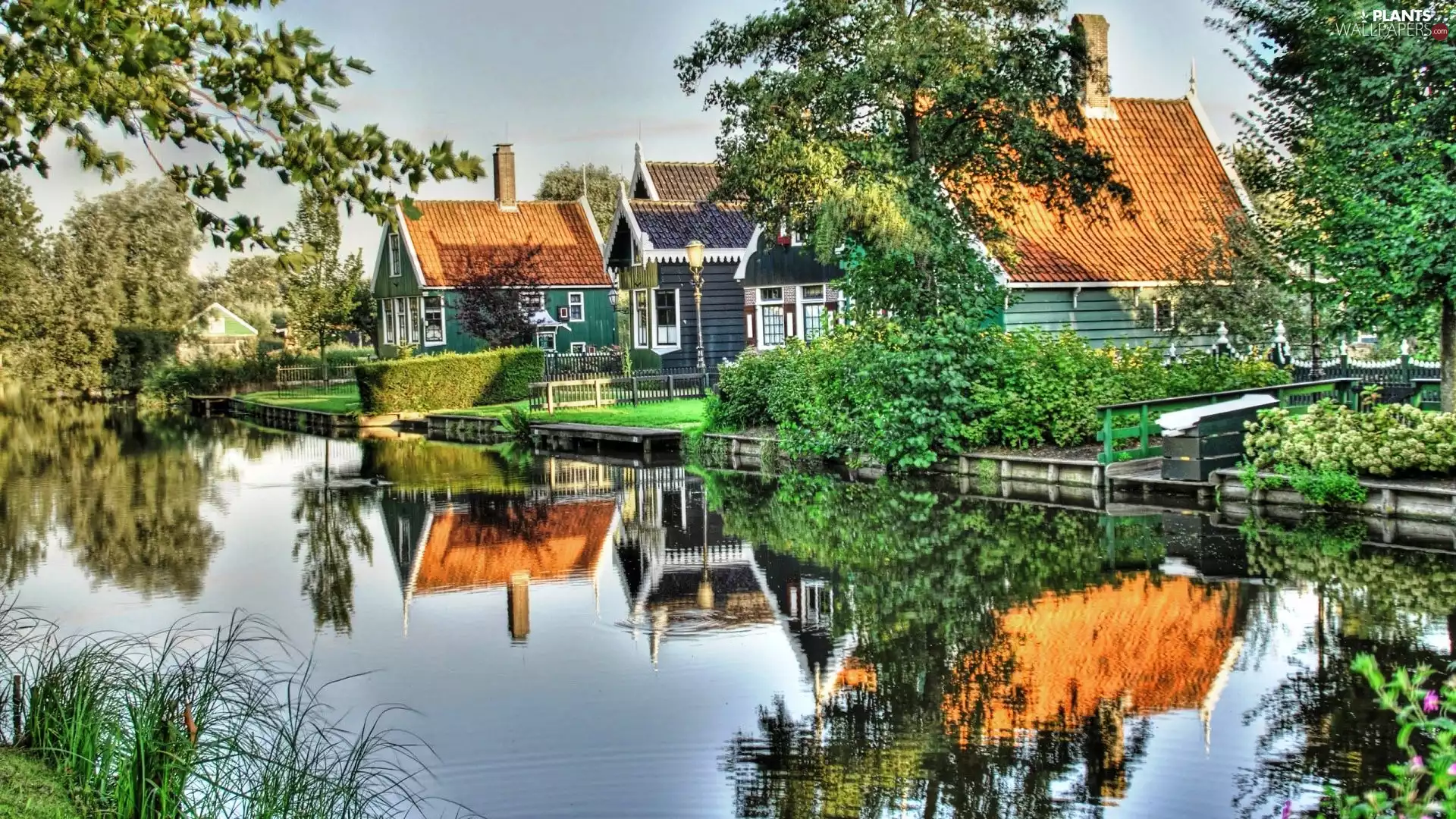 viewes, reflection, River, trees, Houses