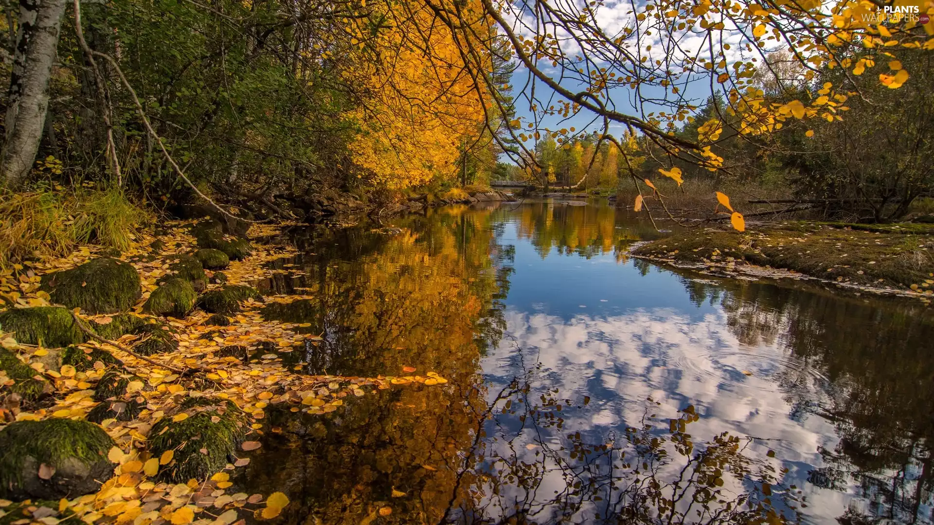 trees, autumn, Stones, reflection, viewes, River