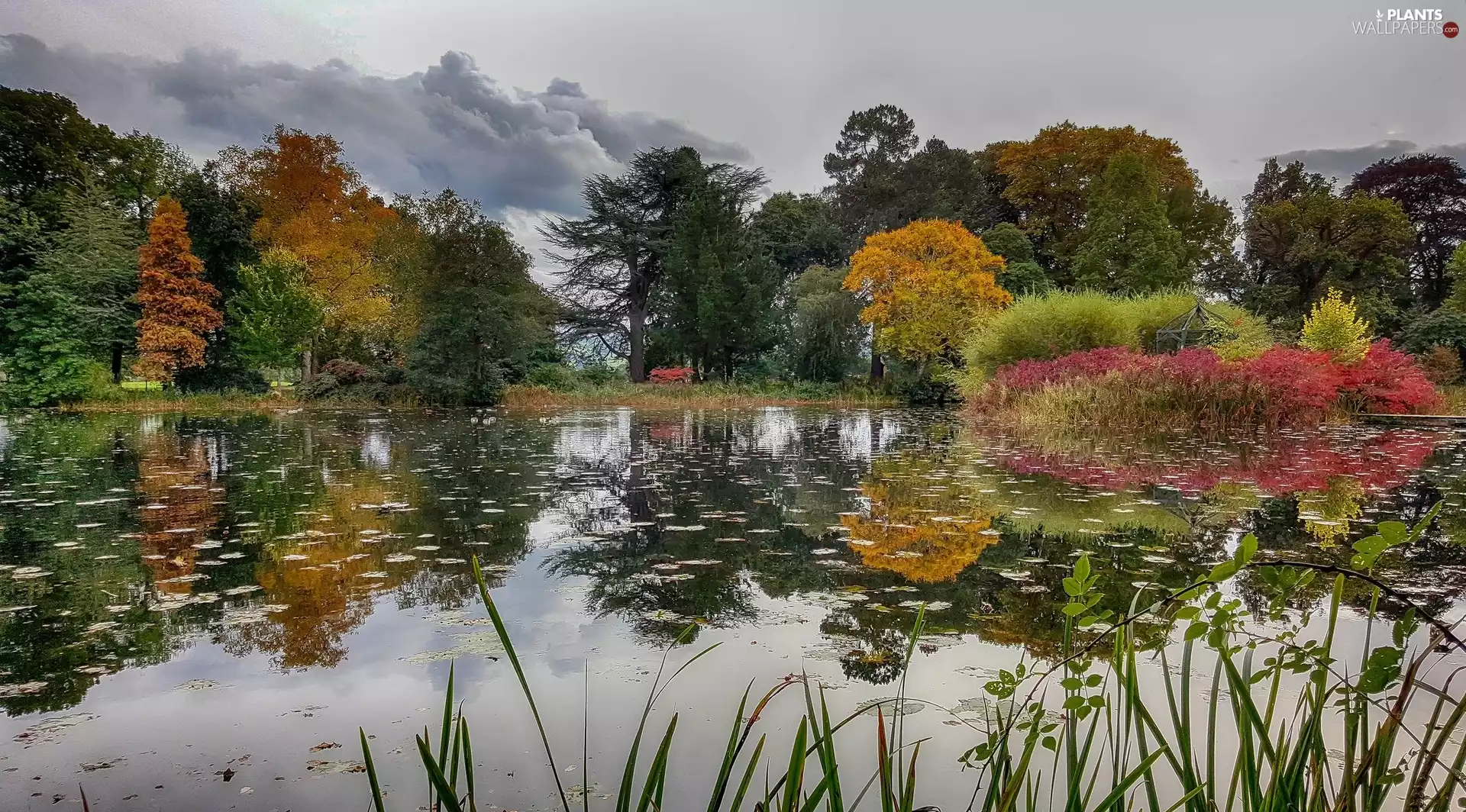 trees, autumn, VEGETATION, reflection, viewes, River