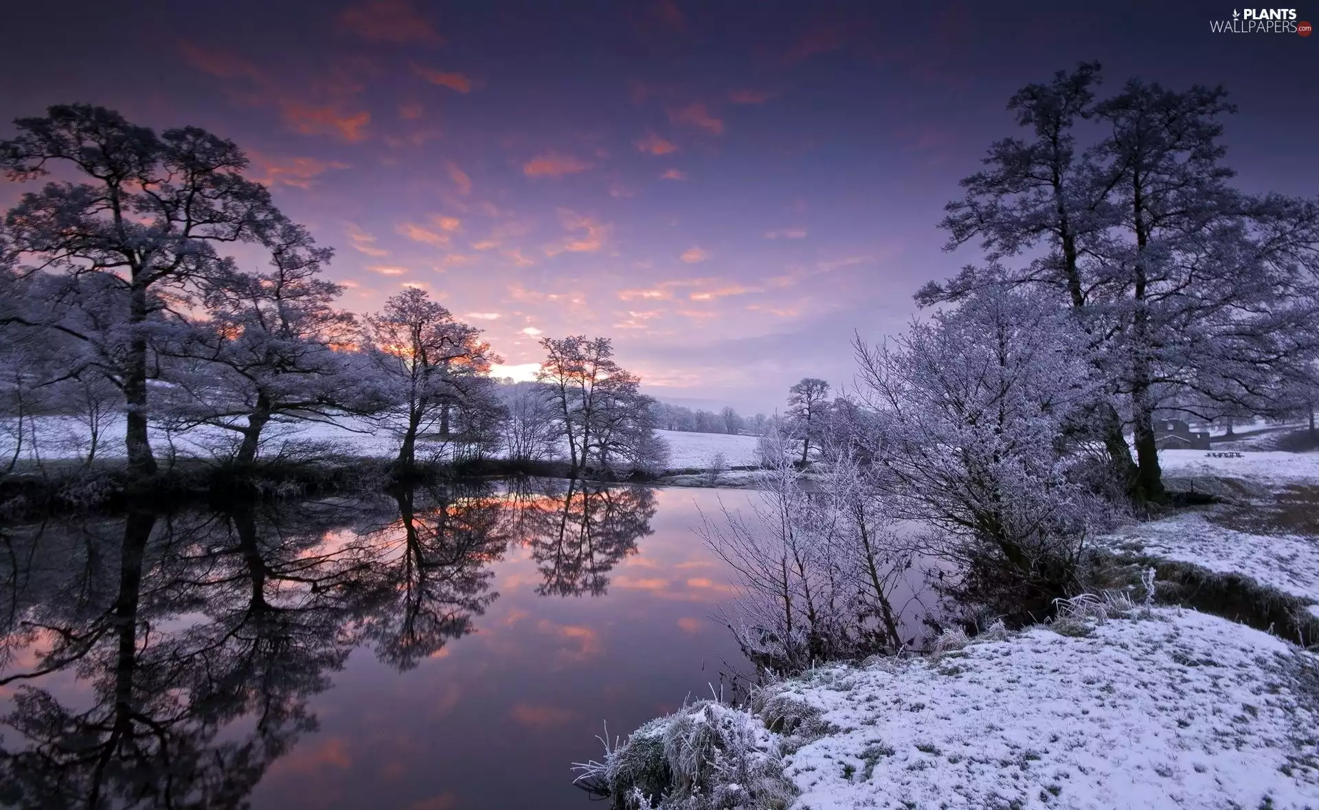 viewes, reflection, River, trees, winter