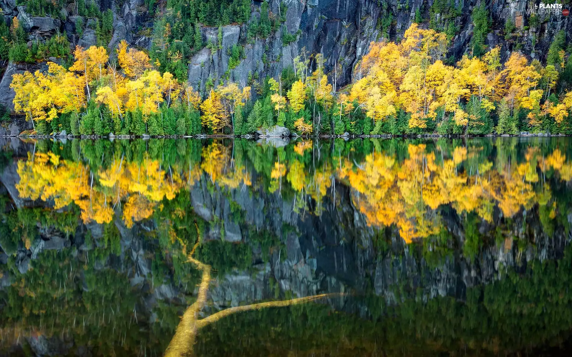 trees, lake, autumn, reflection, viewes, rocks