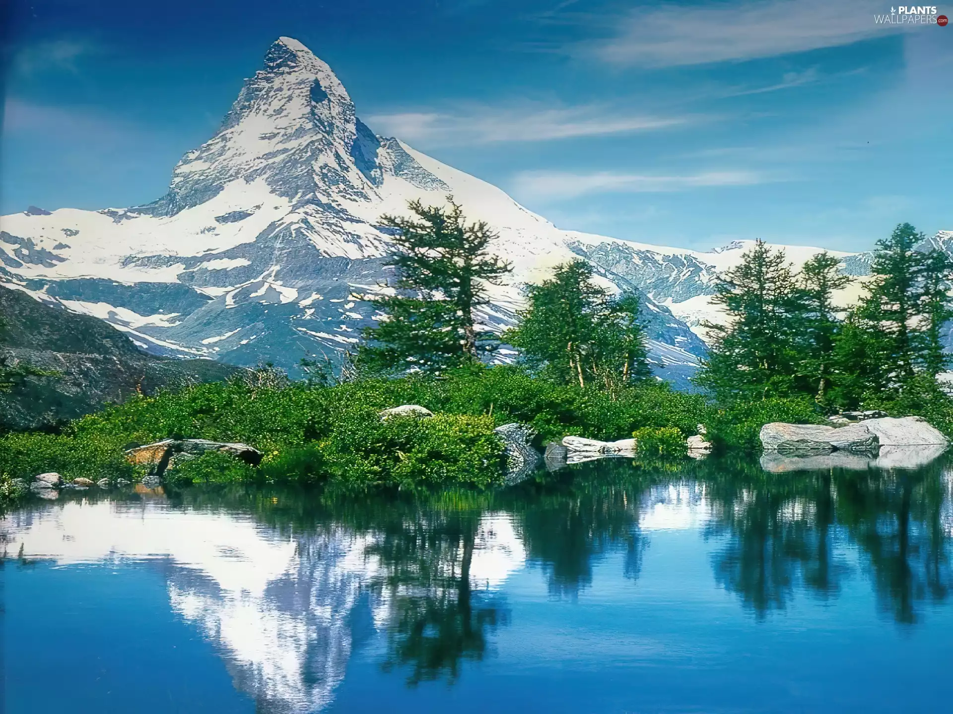 pine, reflection, rocks, lake, Mountains