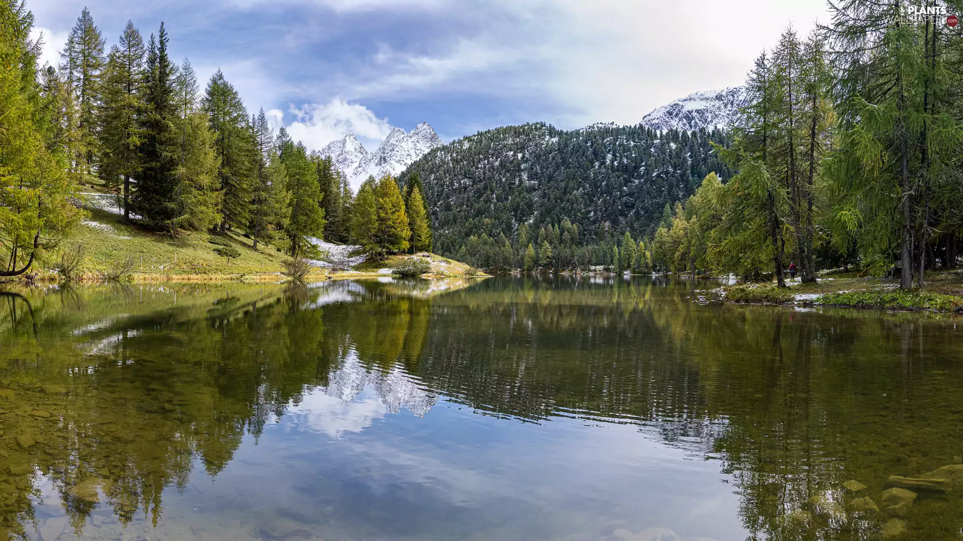 trees, lake, snow, green ones, Mountains, viewes, reflection