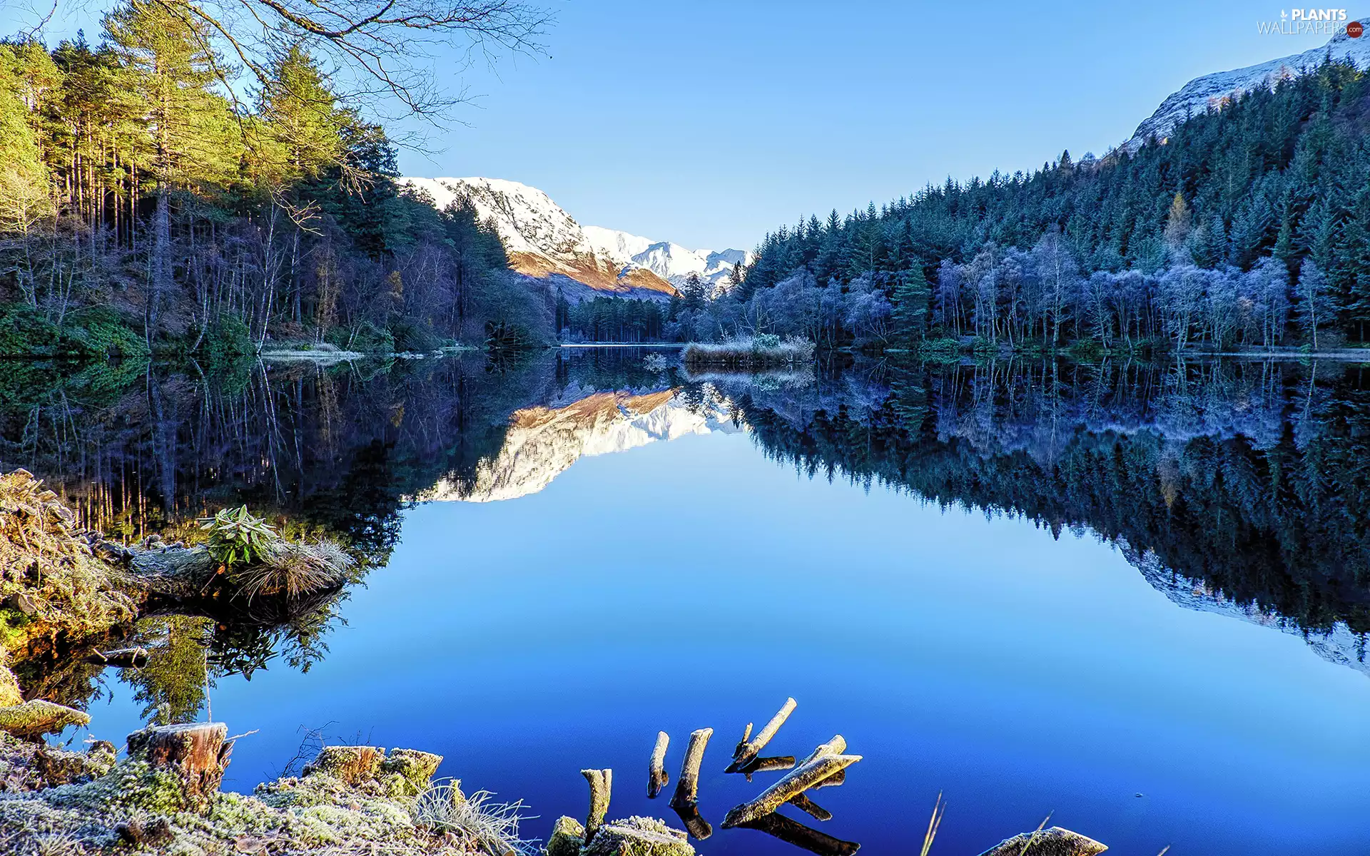 peaks, lake, forest, reflection, Mountains, Snowy