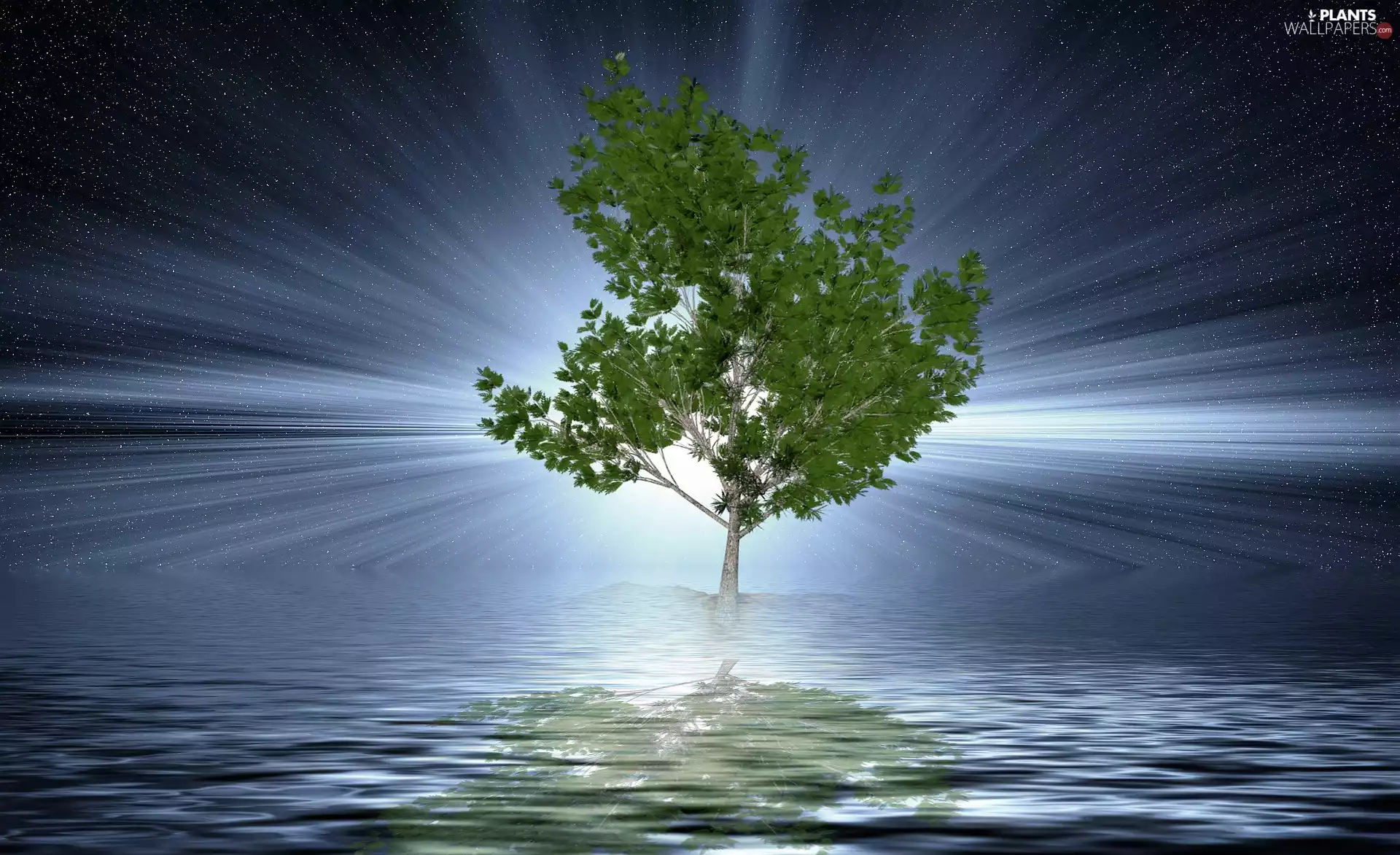 water, reflection, star, Sky, trees