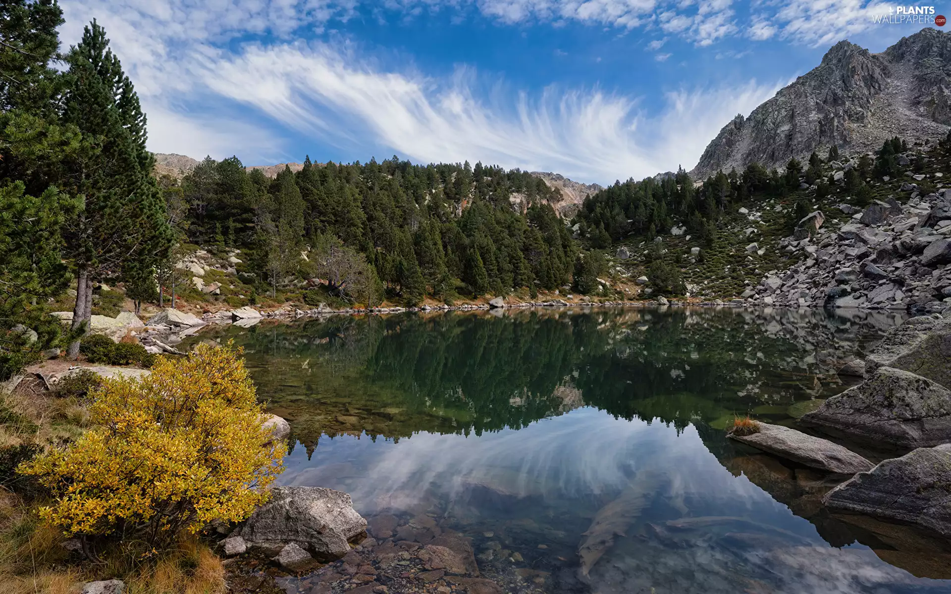 trees, Mountains, lake, reflection, viewes, Stones