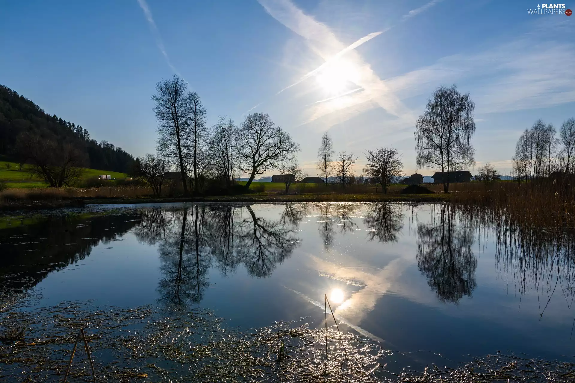 viewes, Sky, sun, trees, Pond - car, Houses, reflection