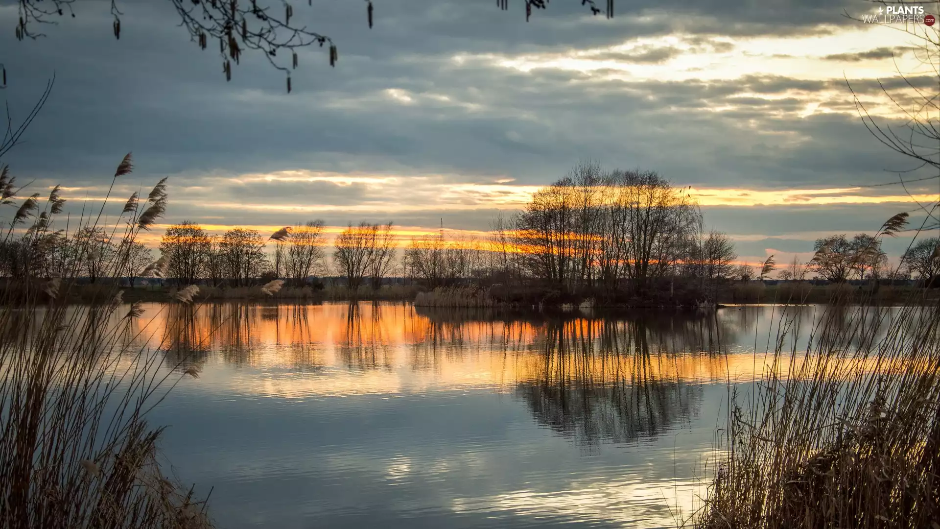 trees, Great Sunsets, grass, clouds, lake, viewes, reflection