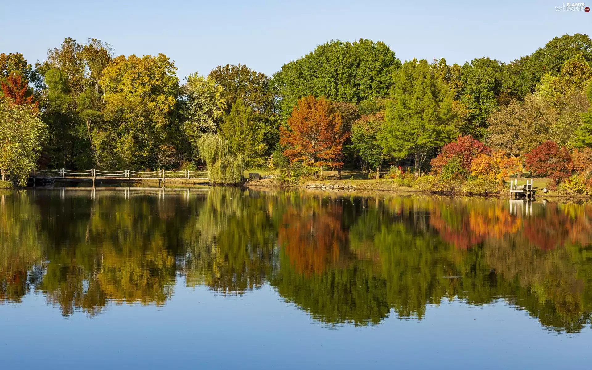 viewes, forest, bridge, reflection, lake, trees