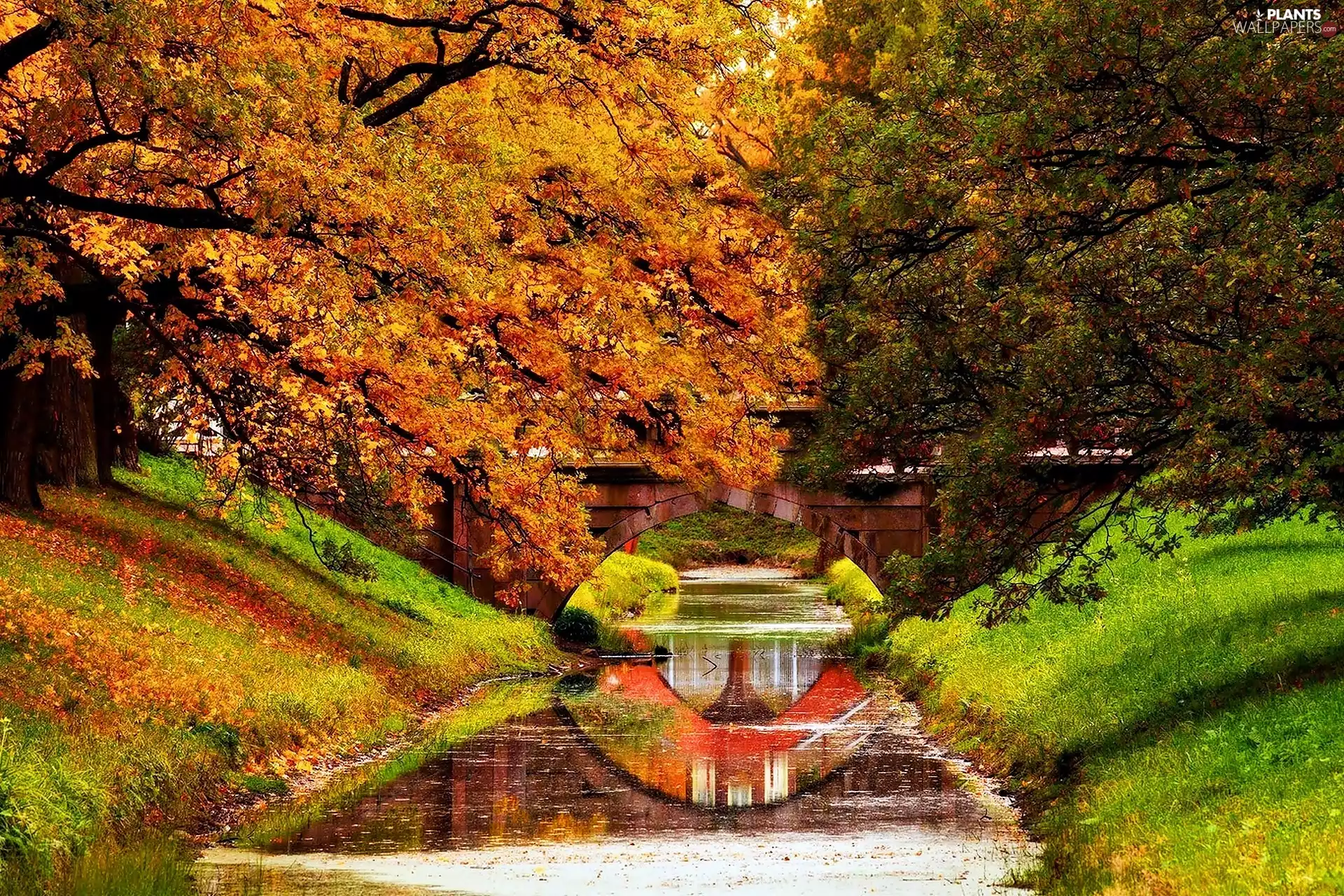 viewes, autumn, bridge, reflection, River, trees