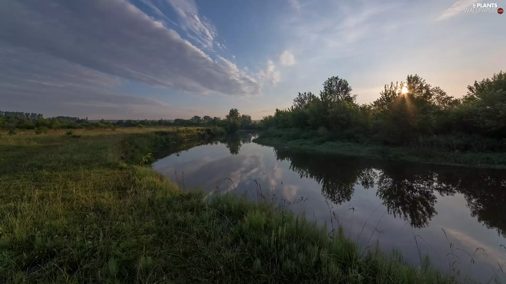 viewes, River, clouds, reflection, grass, trees