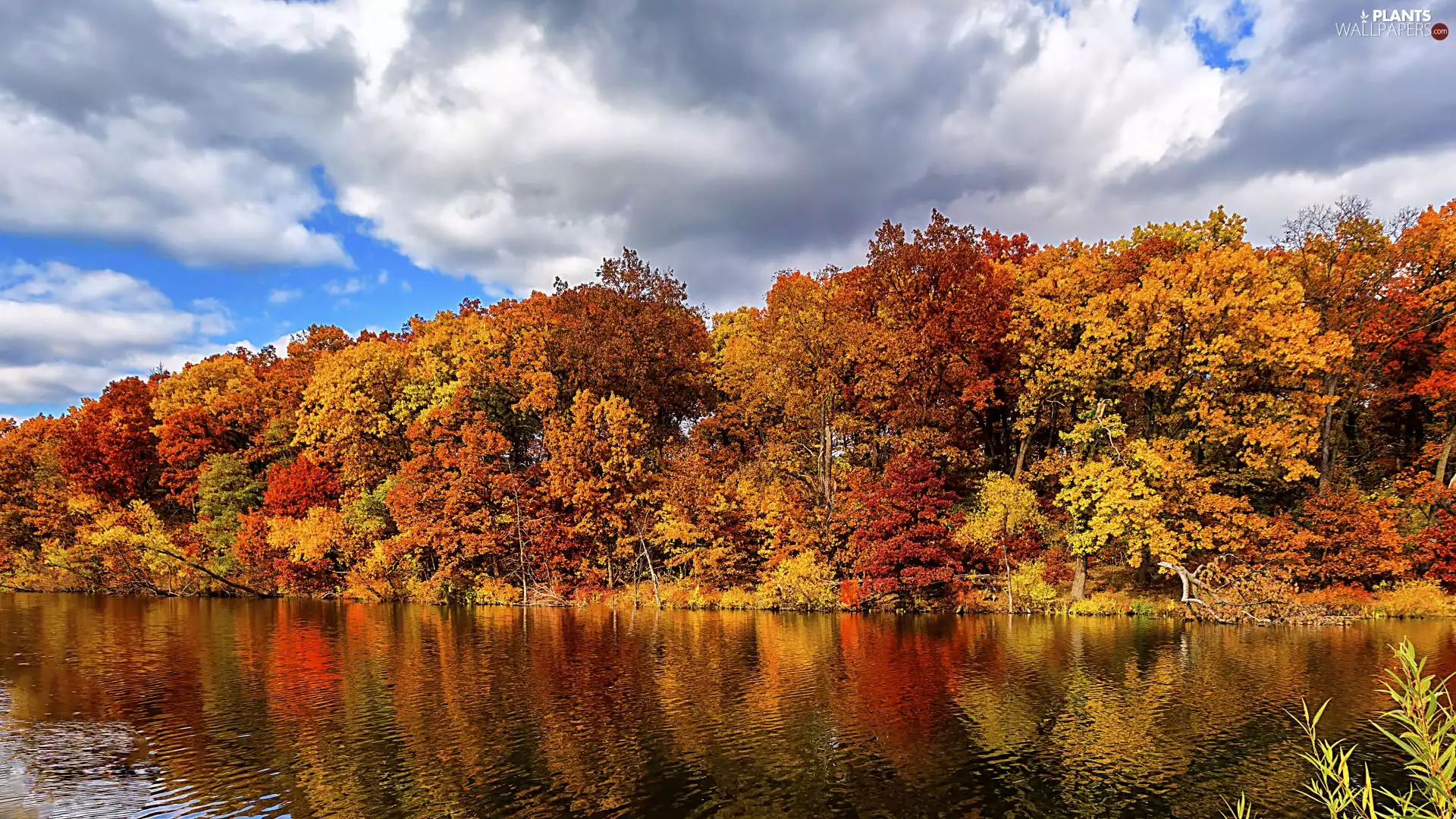 viewes, autumn, clouds, reflection, lake, trees