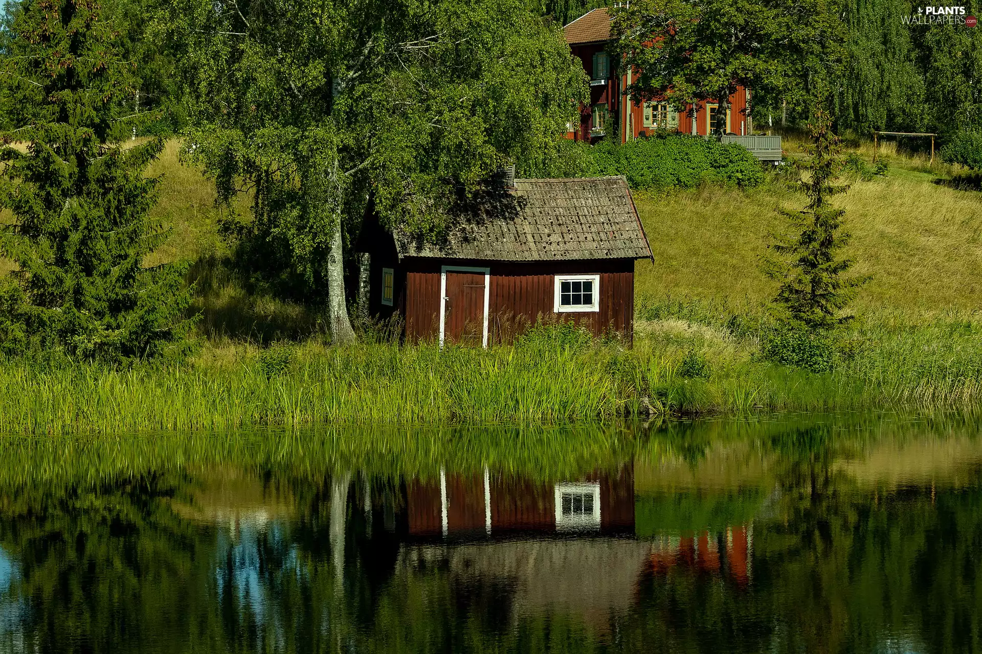 lake, reflection, trees, viewes, Houses