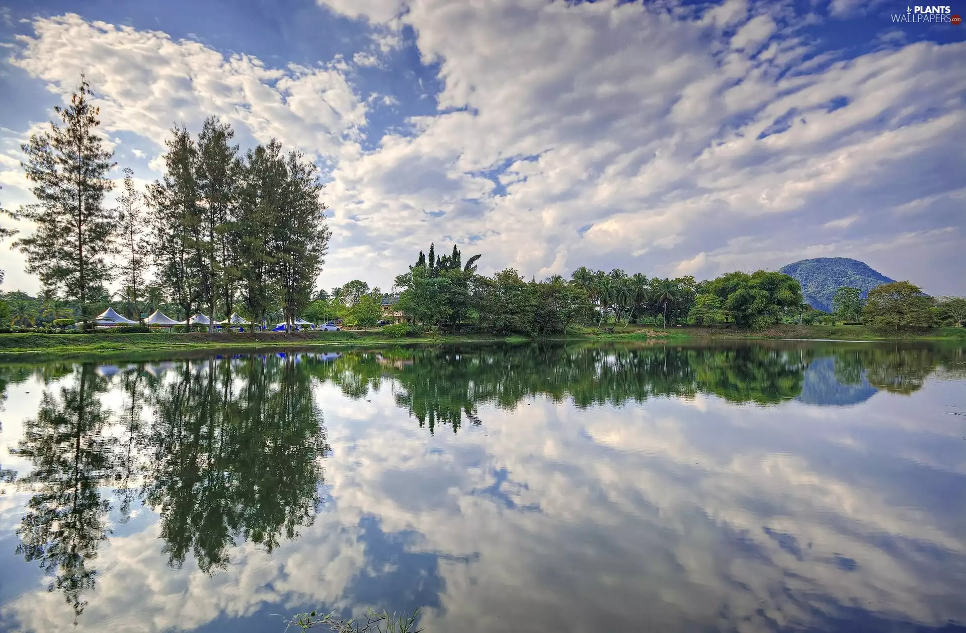 clouds, reflection, trees, viewes, lake