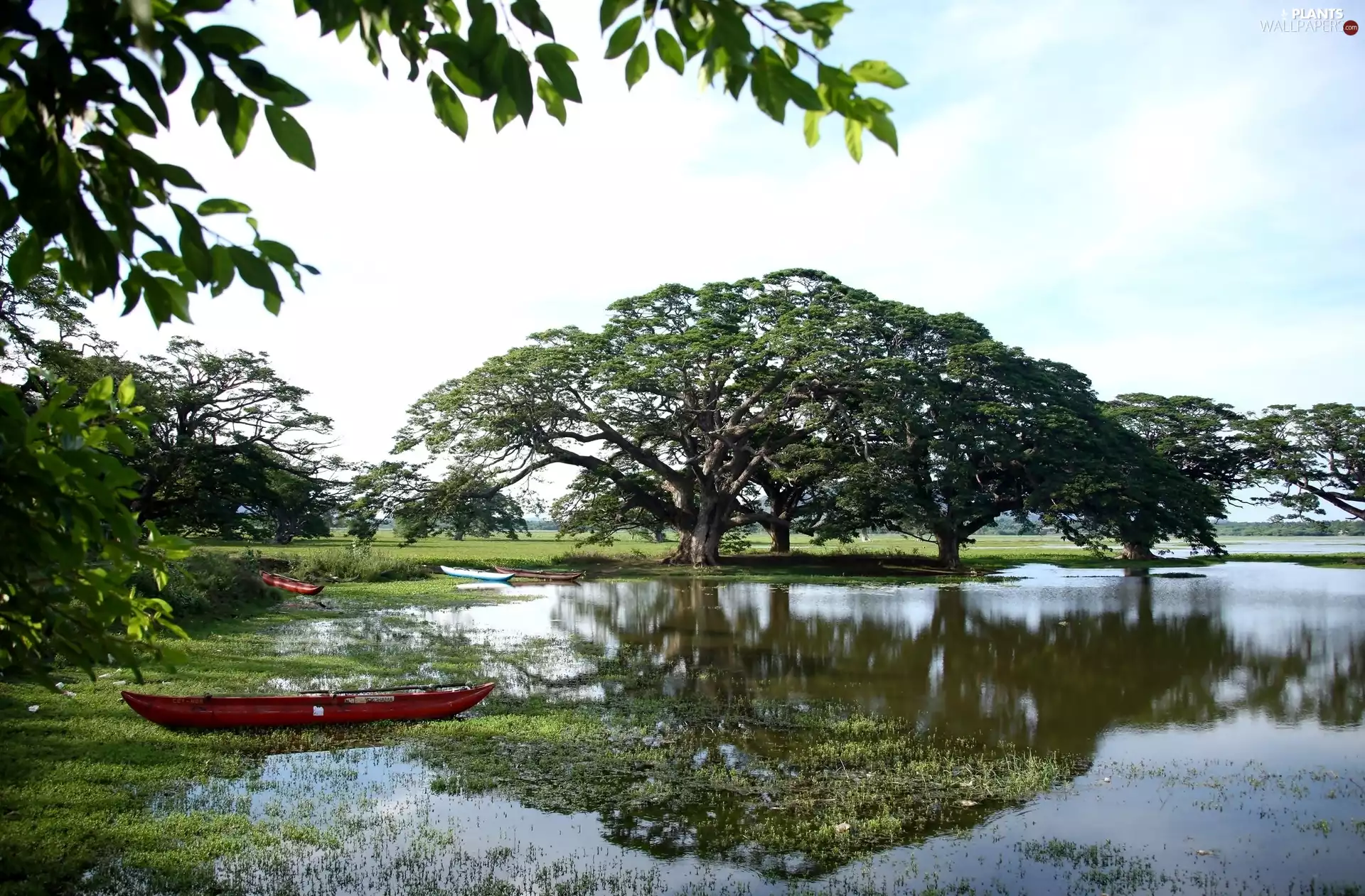 Kayaks, reflection, trees, viewes, lake
