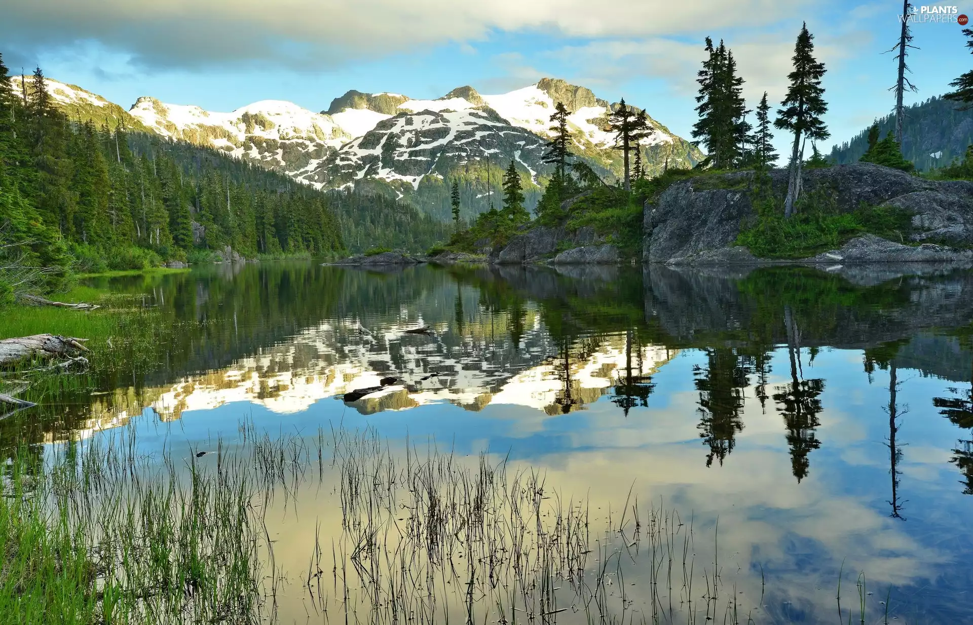 viewes, Mountains, lake, reflection, rocks, trees