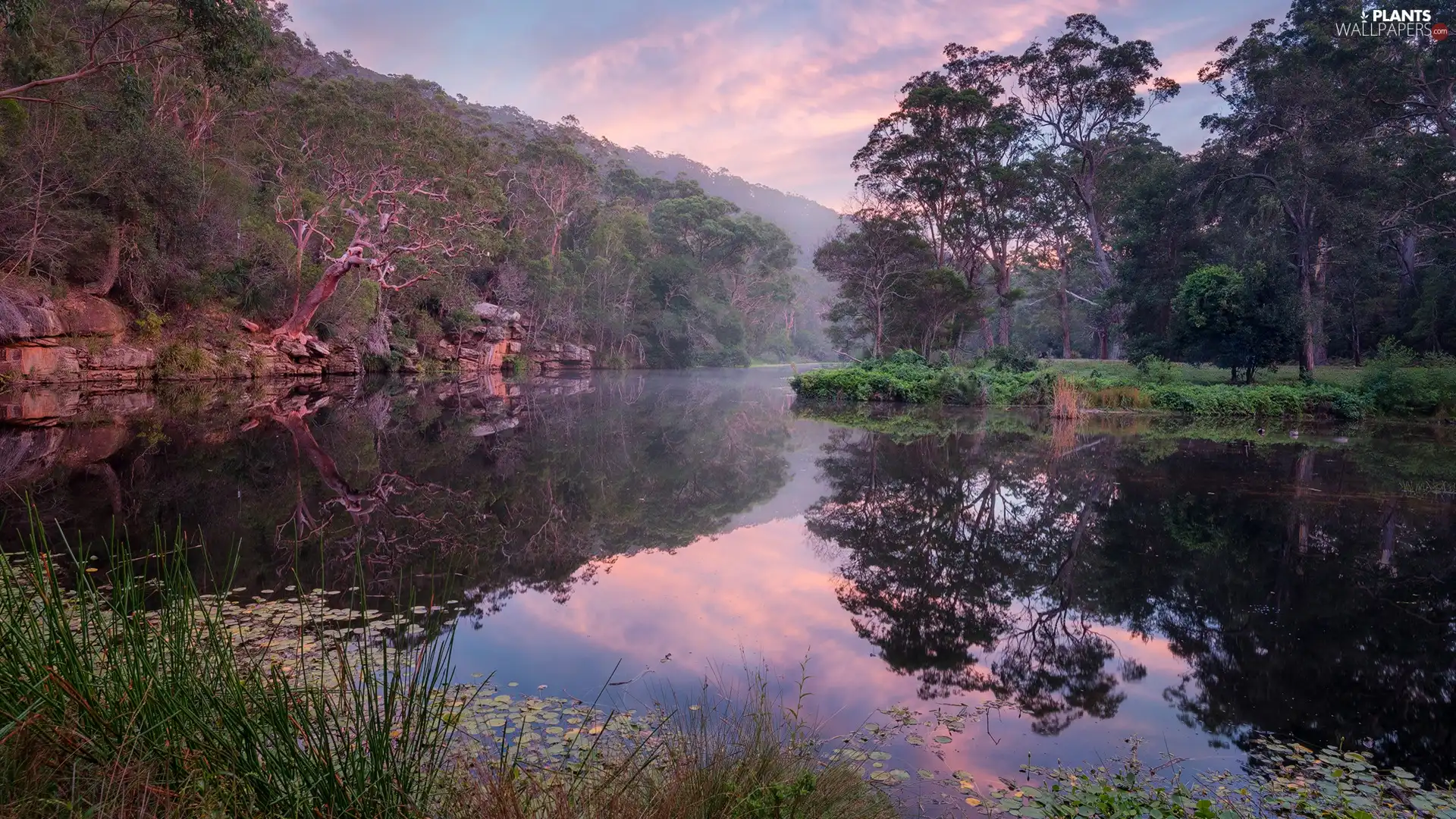 rocks, reflection, trees, viewes, lake