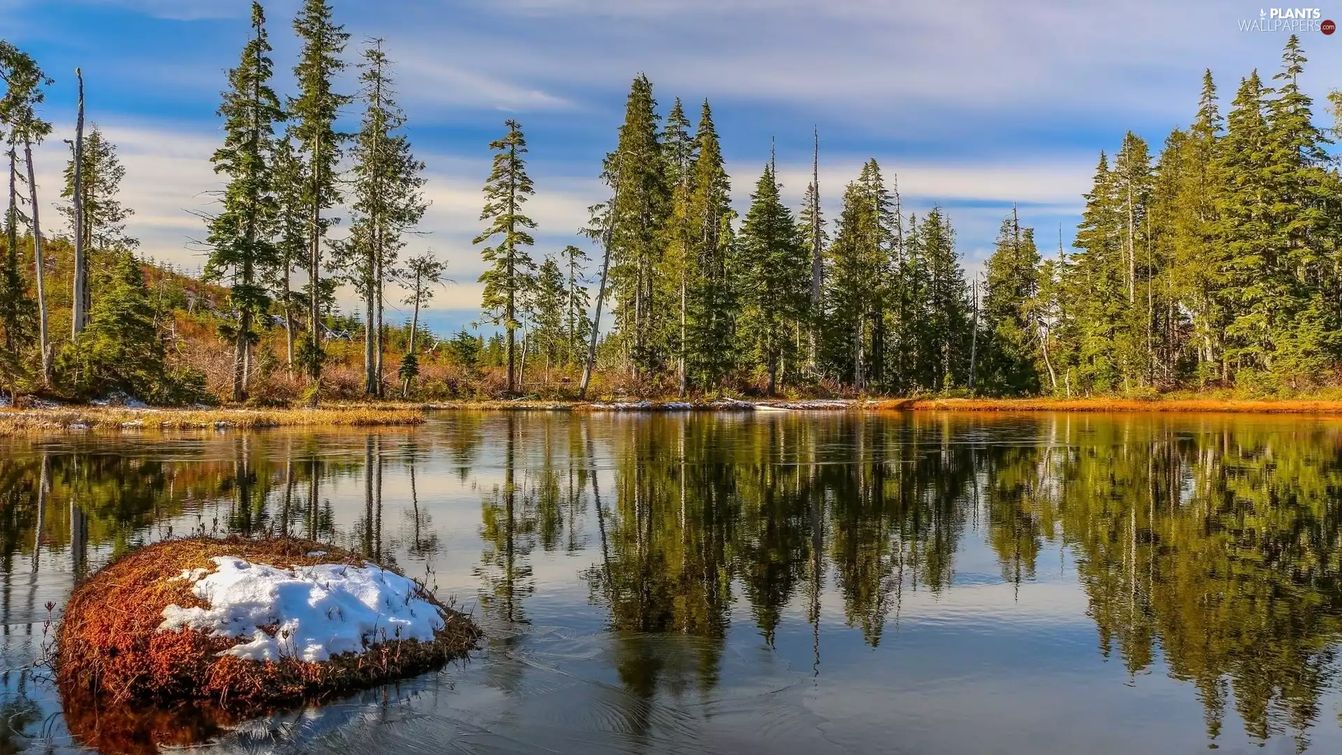 Sky, reflection, trees, viewes, lake