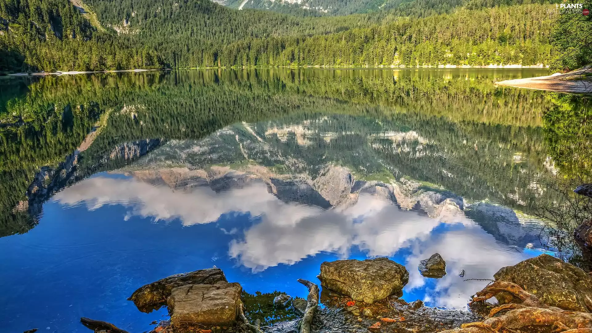 Stones, reflection, trees, viewes, lake