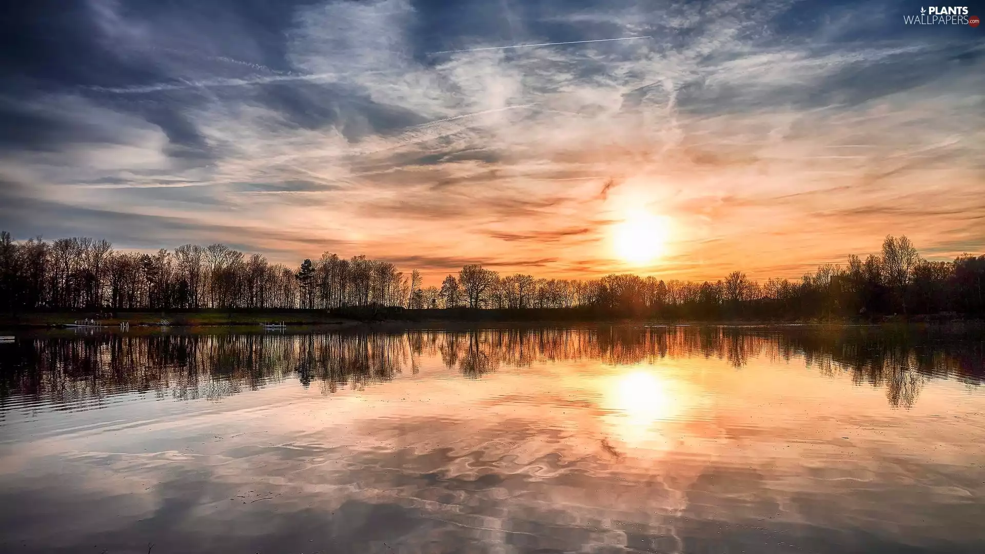 sun, reflection, trees, viewes, lake