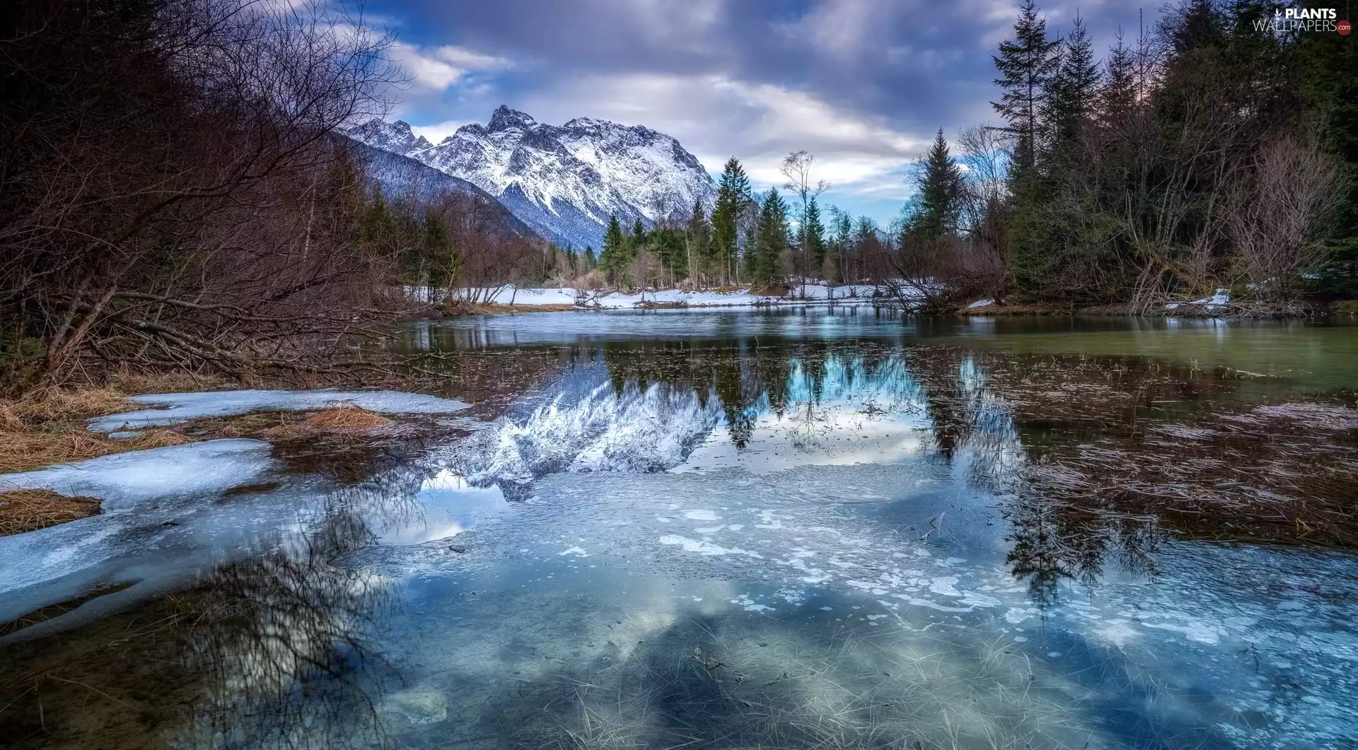 viewes, River, Mountains, reflection, Snowy, trees