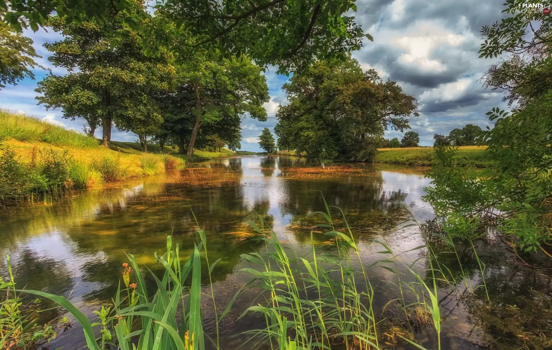 Sky, reflection, trees, viewes, River