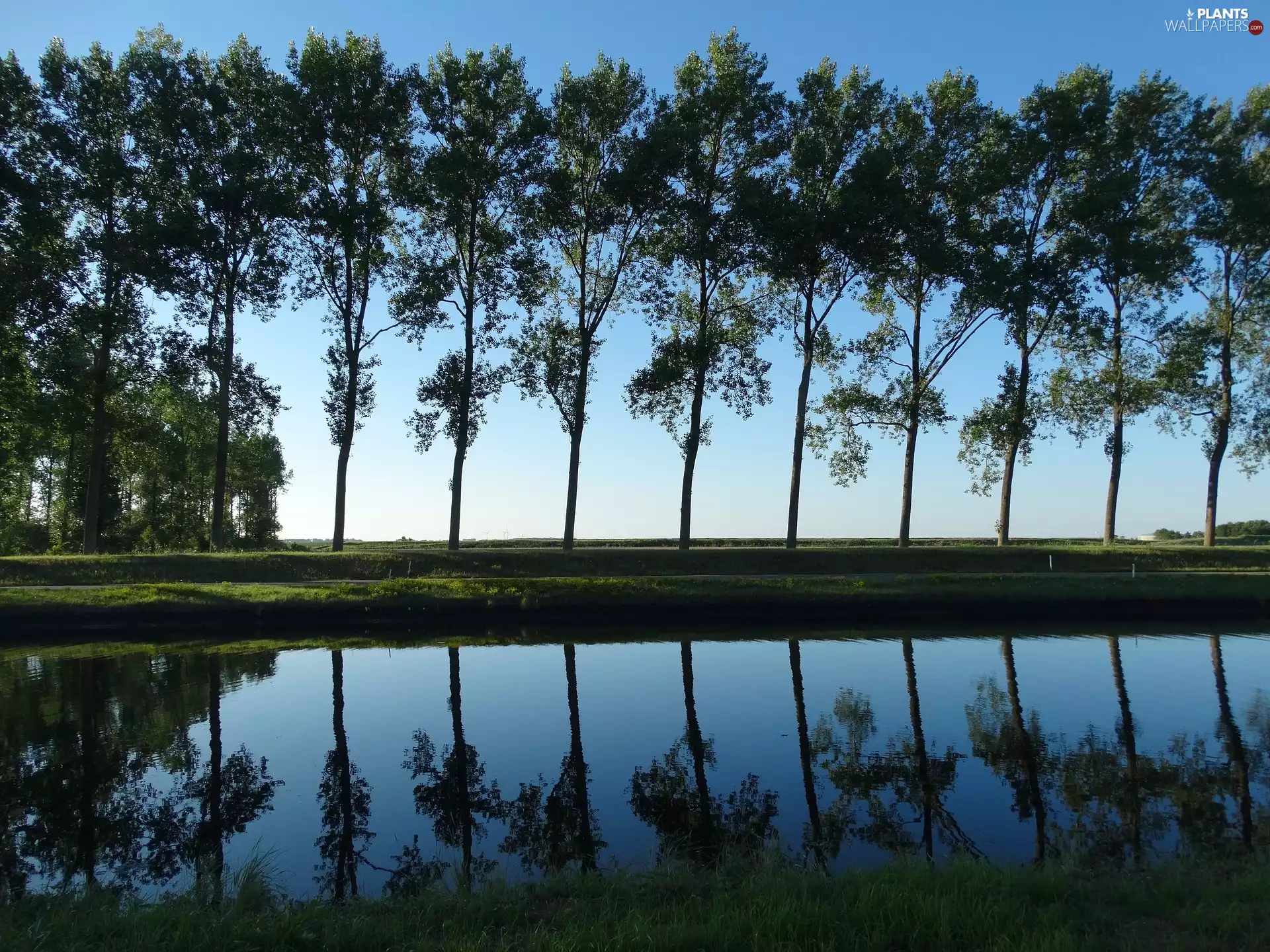 River, reflection, trees, viewes, Way