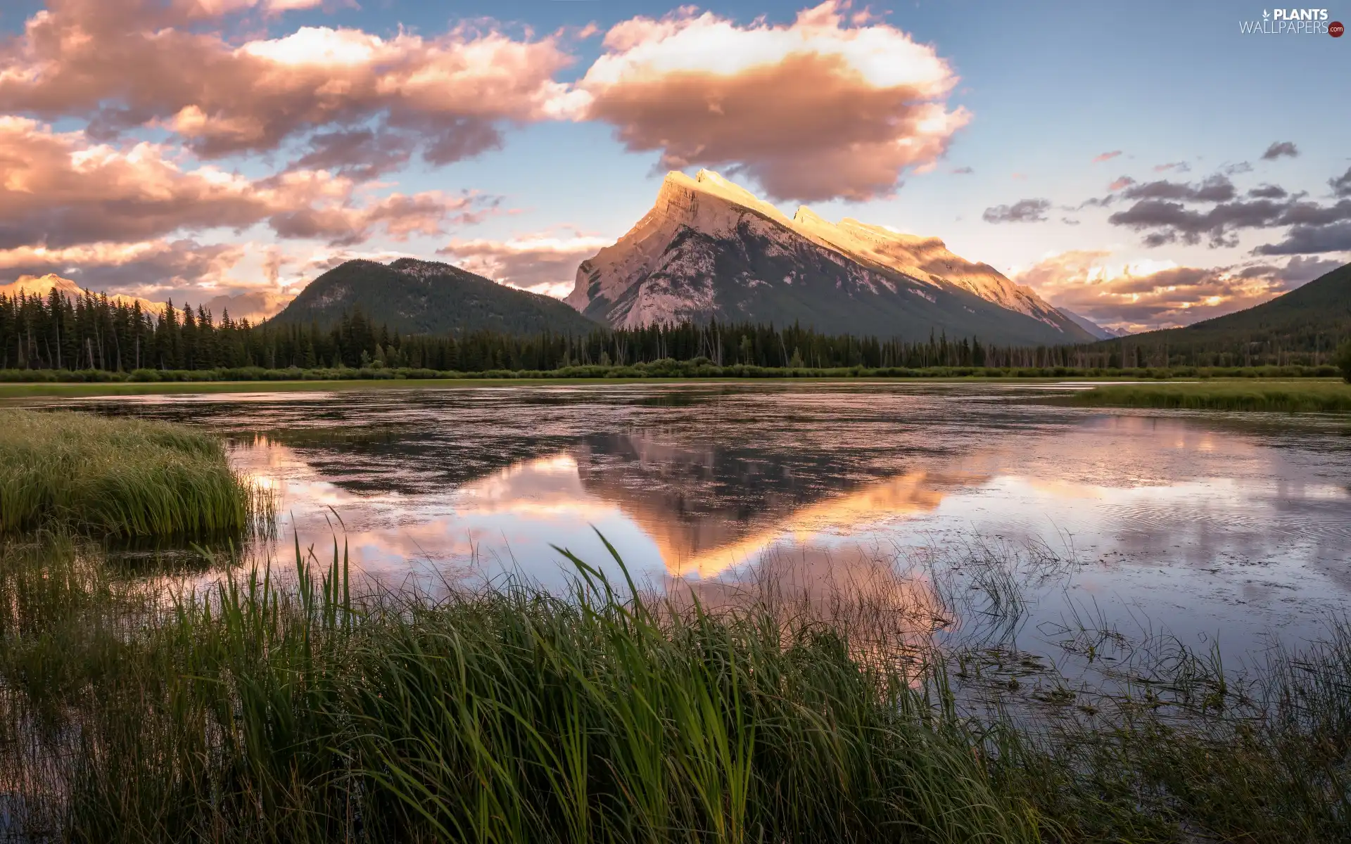 grass, Mountains, viewes, reflection, lake, trees, clouds