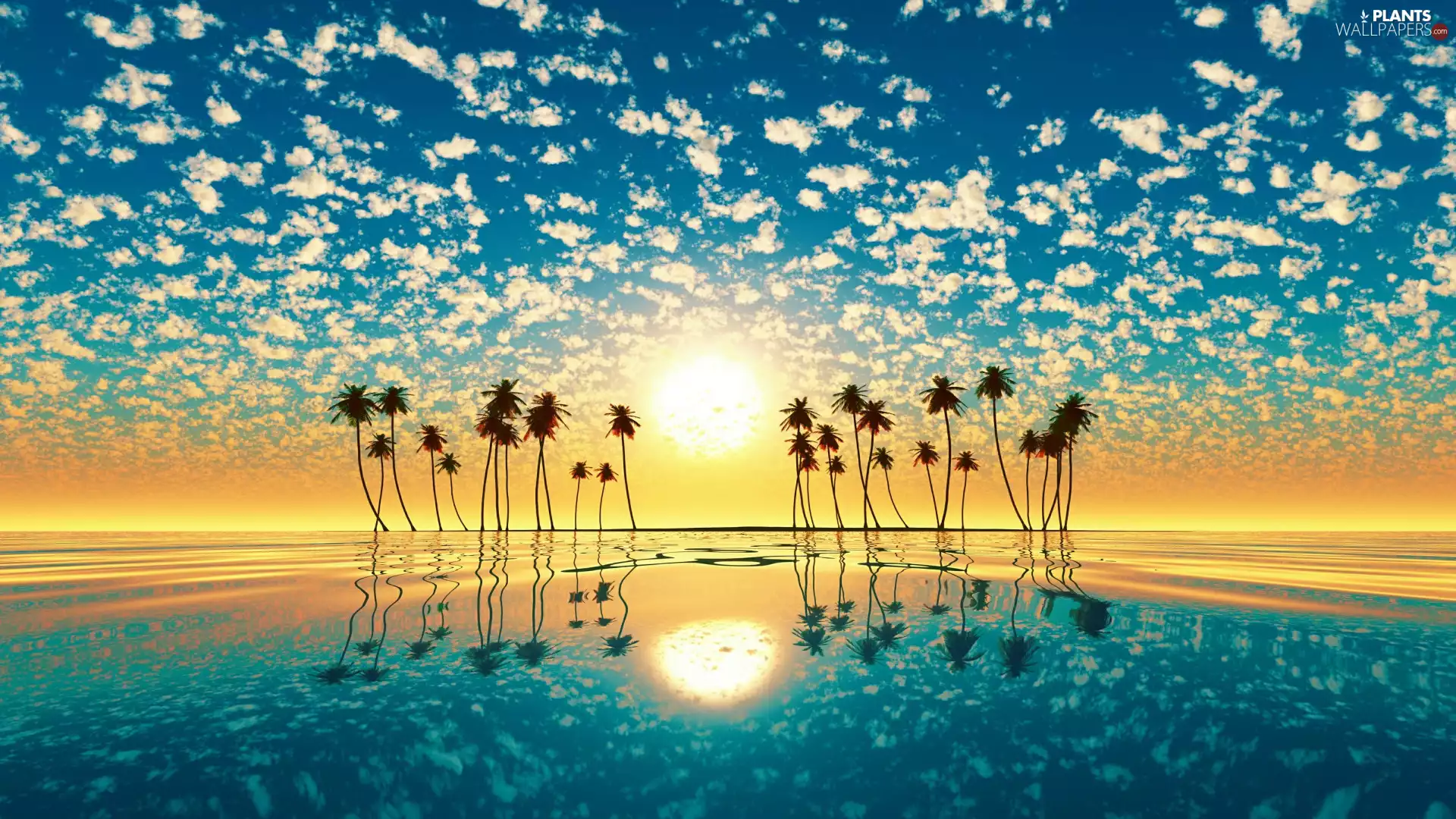 Great Sunsets, viewes, sea, Palms, trees, clouds, reflection