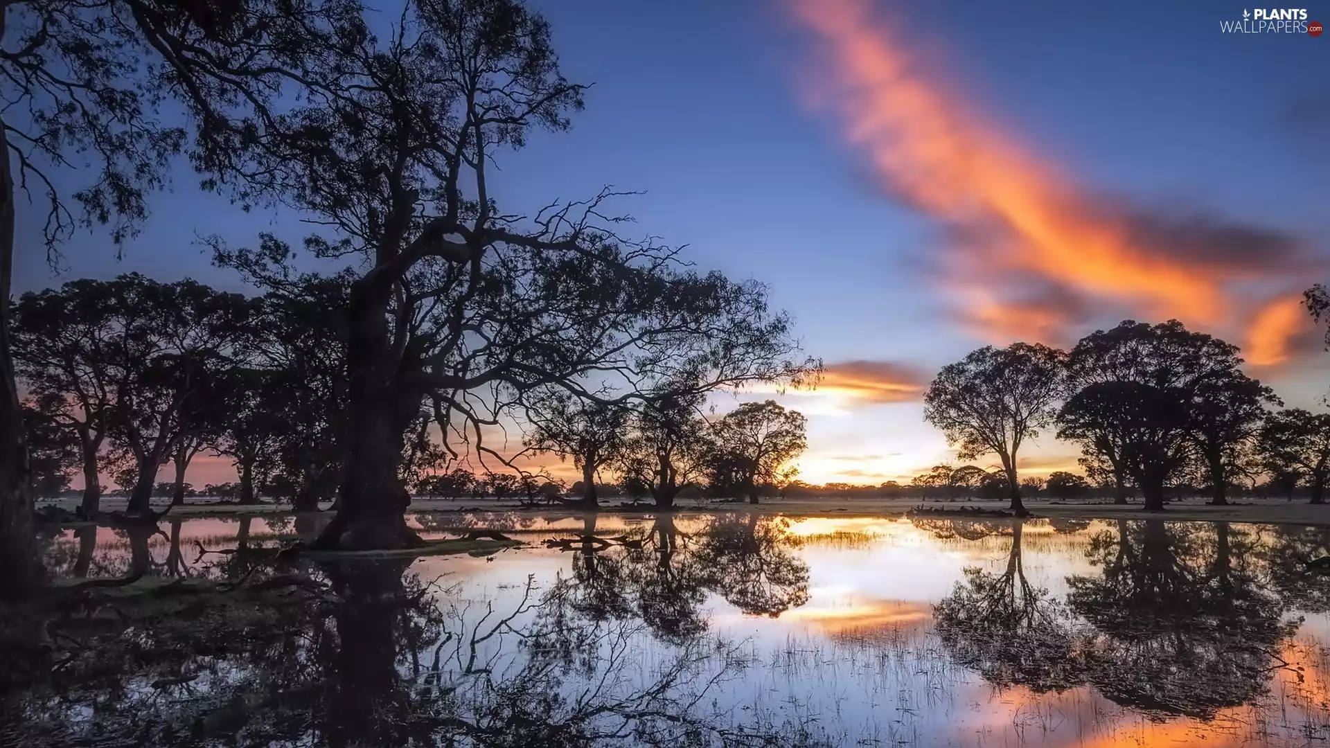 reflection, Pond - car, sun, Coonawarra, west, viewes, trees, Australia