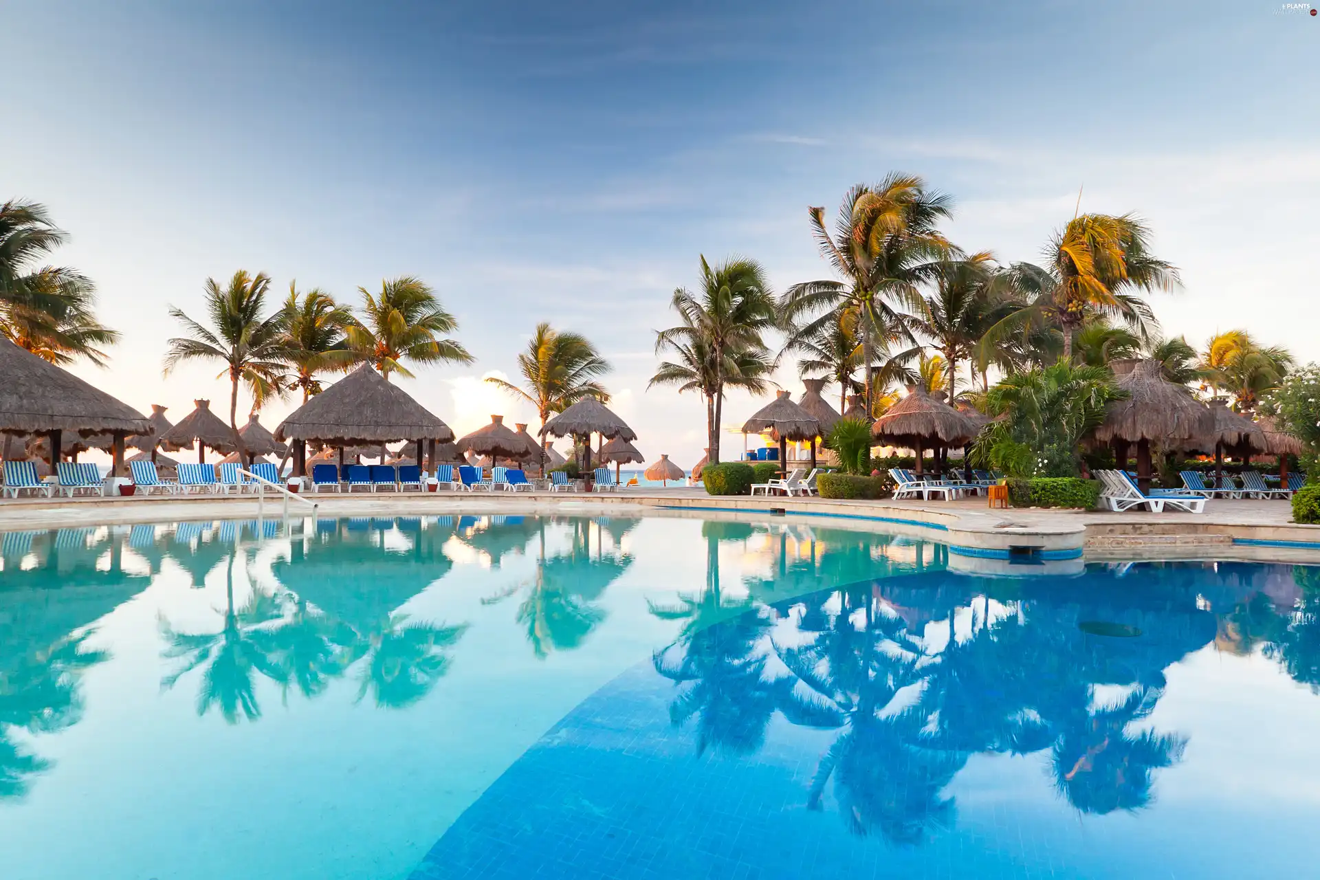 rest, holiday, Palms, deck chair, Pool