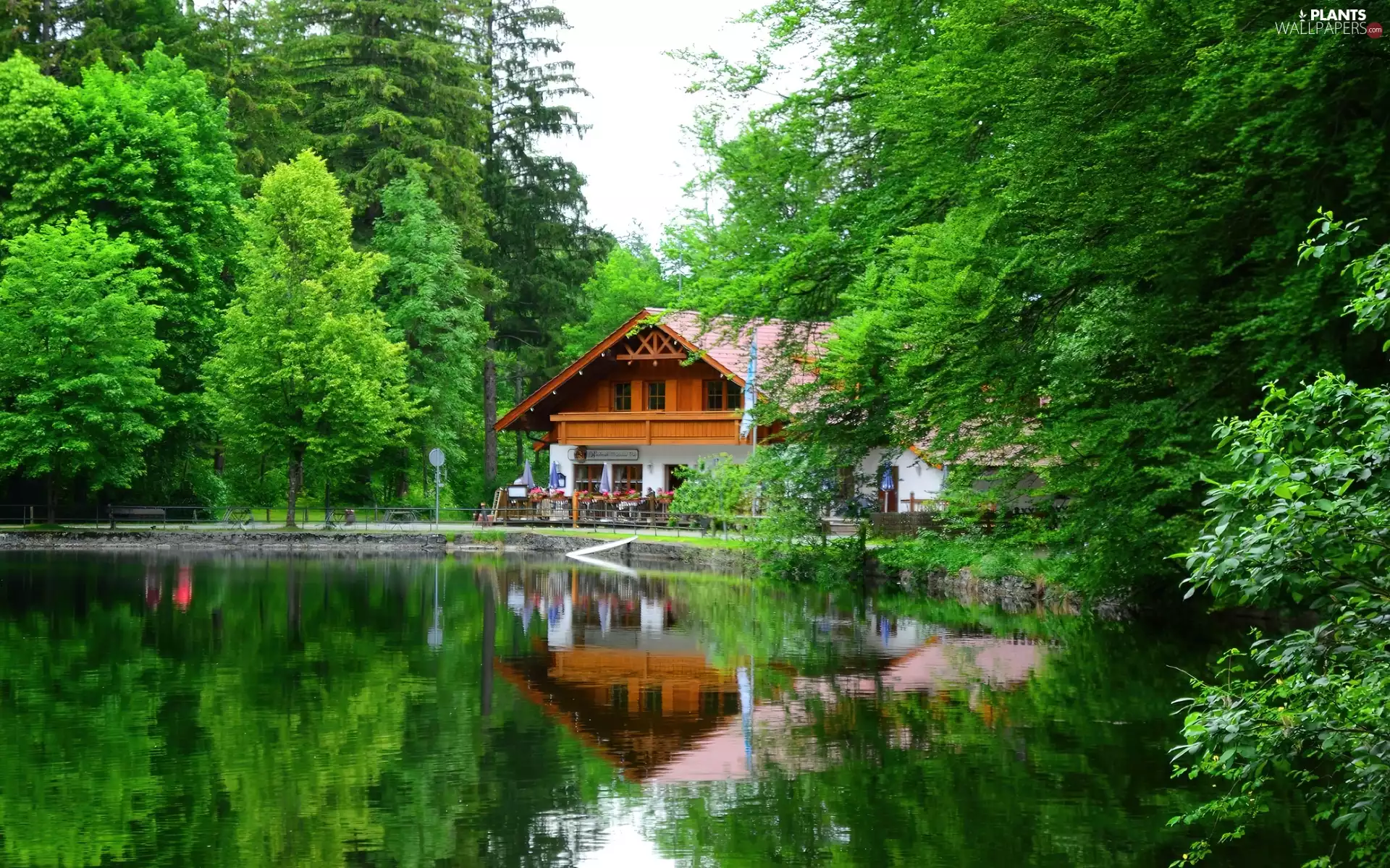 Park, Restaurant, Spring, Pond - car