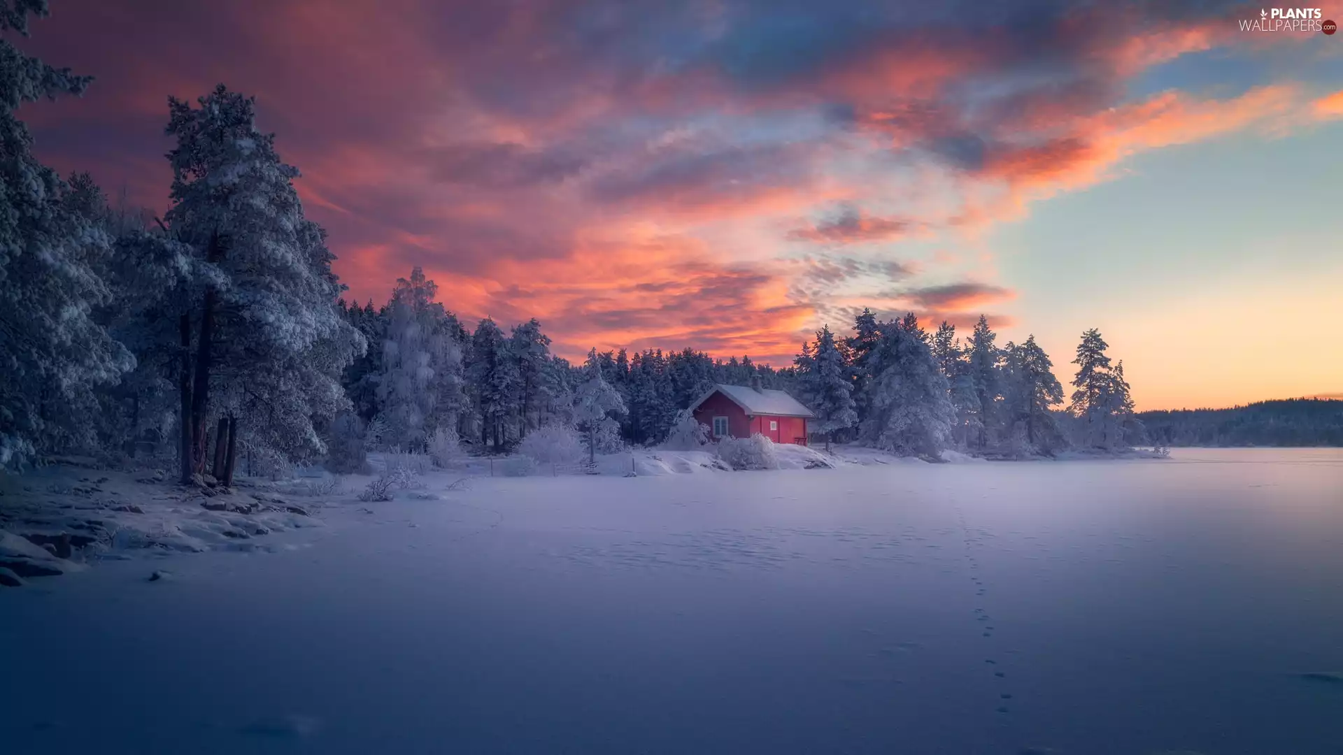 Ringerike, Norway, winter, trees, Great Sunsets, clouds, forest, house, viewes