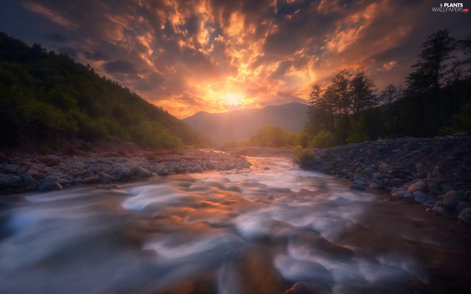 Stones, trees, Racha-Lechkhumi Region, viewes, Rioni River, Great Sunsets, Georgia