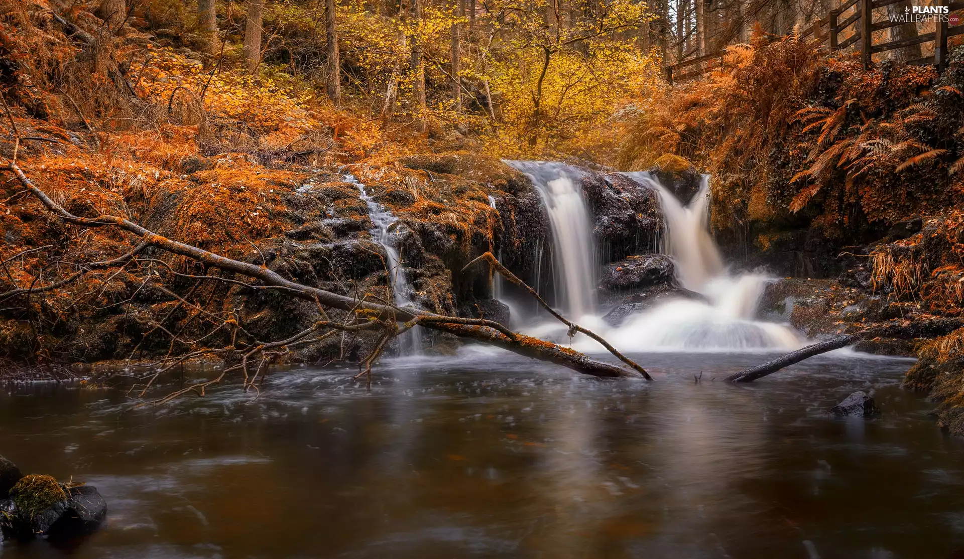 viewes, rocks, autumn, waterfall, bridge, trees, forest, River
