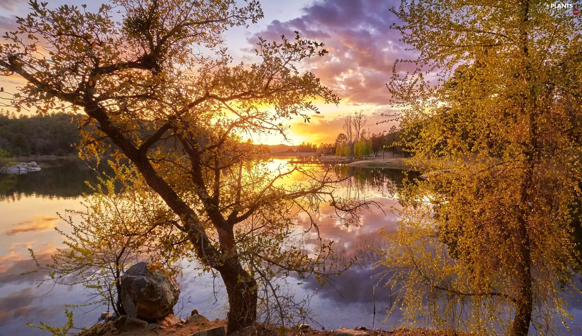 viewes, Great Sunsets, River, trees, autumn