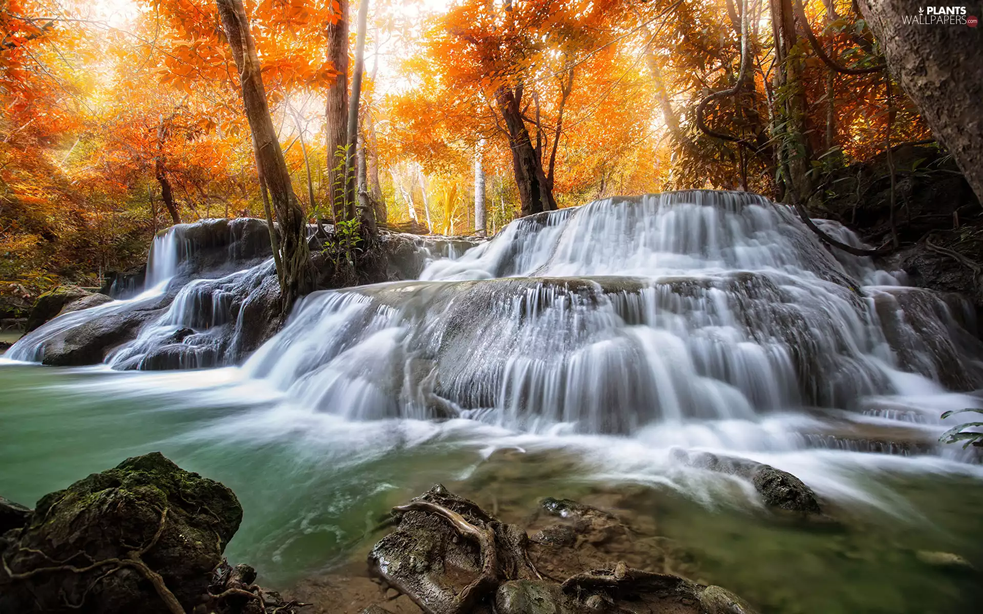 viewes, waterfall, autumn, rocks, Stones, trees, forest, River