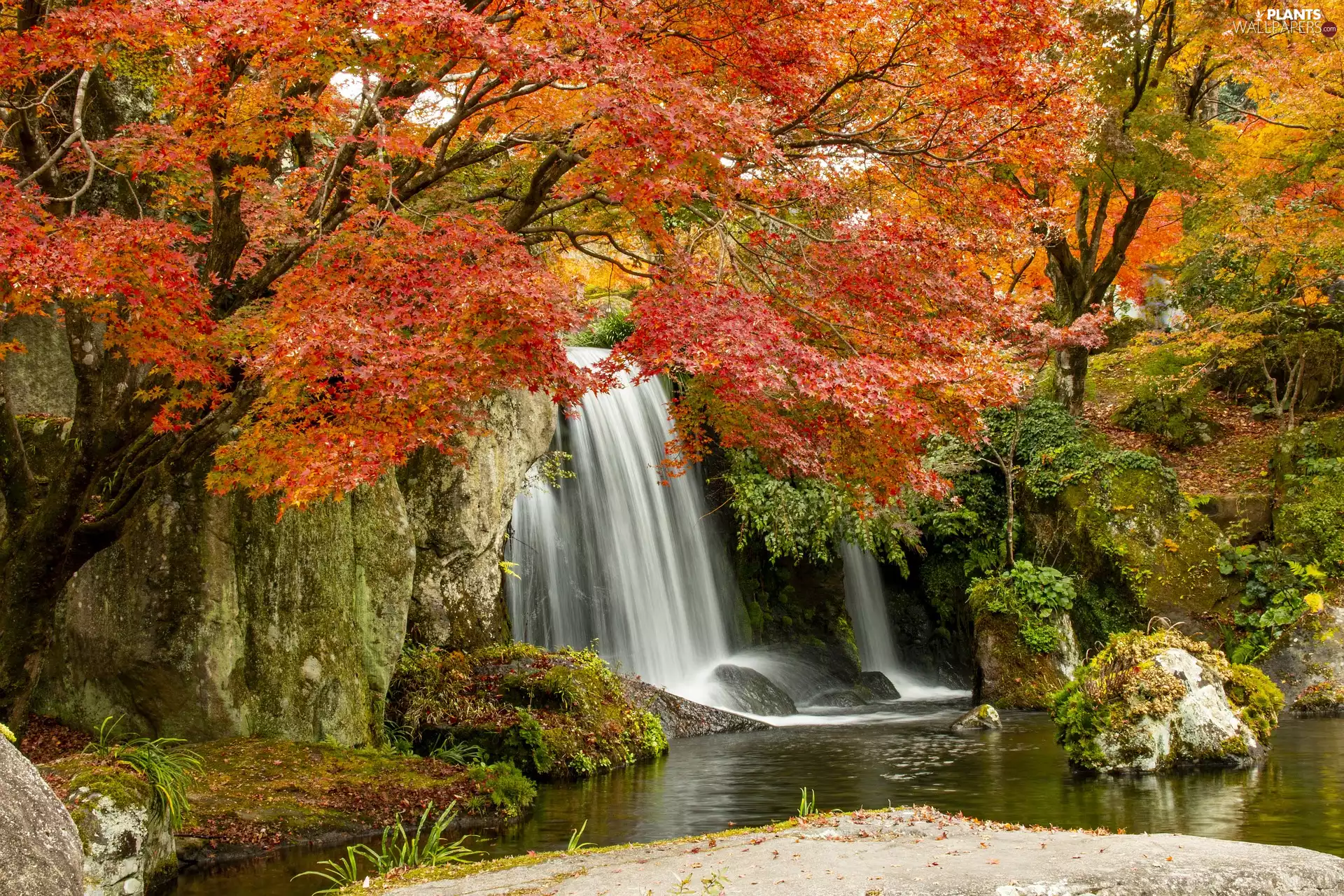 rocks, waterfall, autumn, cascade, Stones, viewes, trees, River
