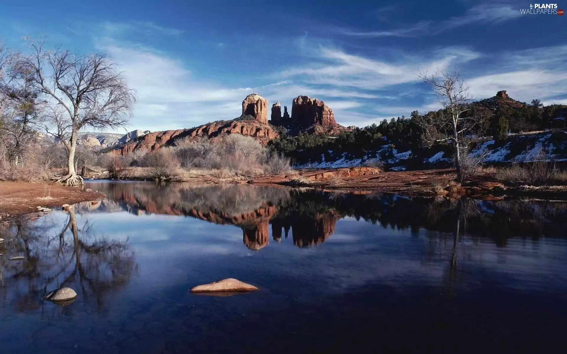 canyon, trees, viewes, River